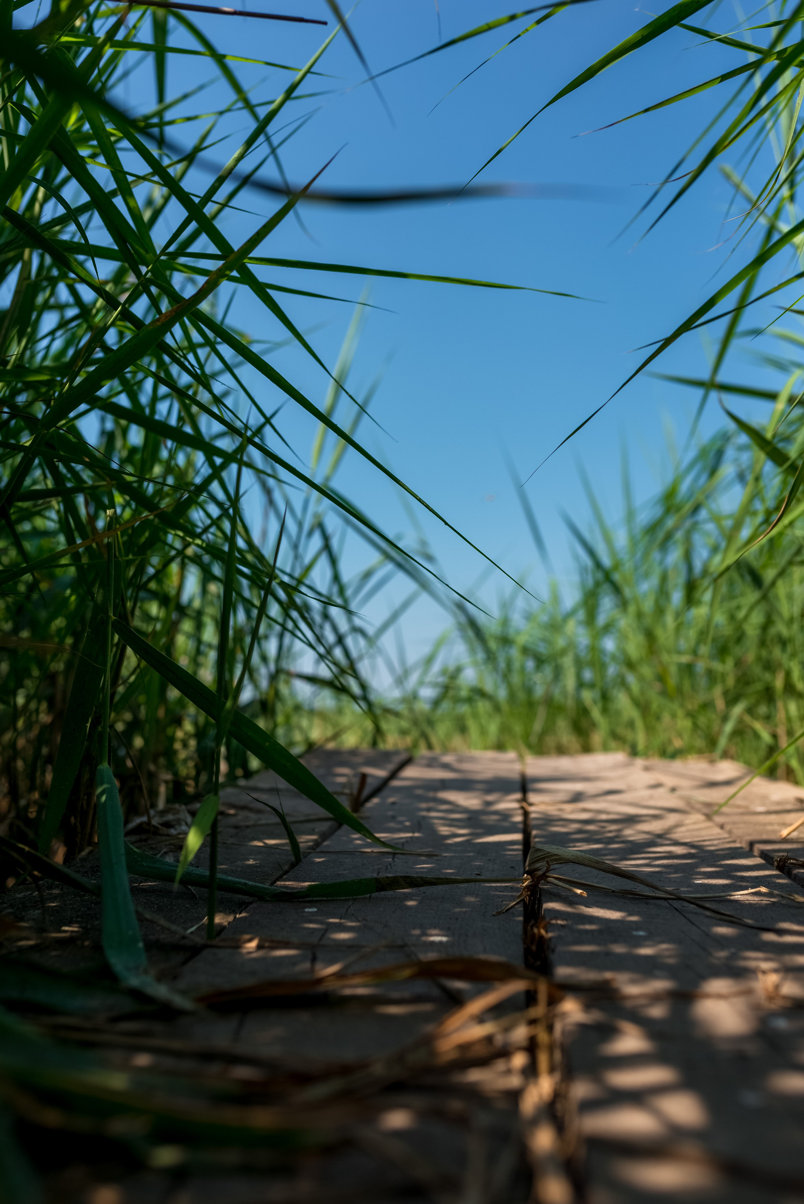 Деревня Барышье. Женский фотограф Крещение Венчание Москва Брянск