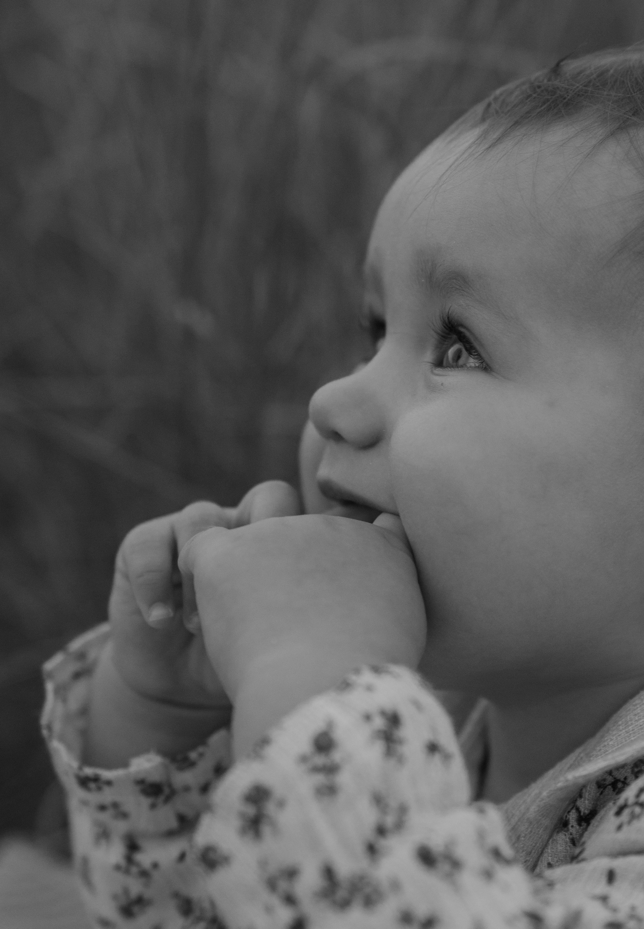 --. Фотограф Пятигорска Кисловодск Домбай Архыз