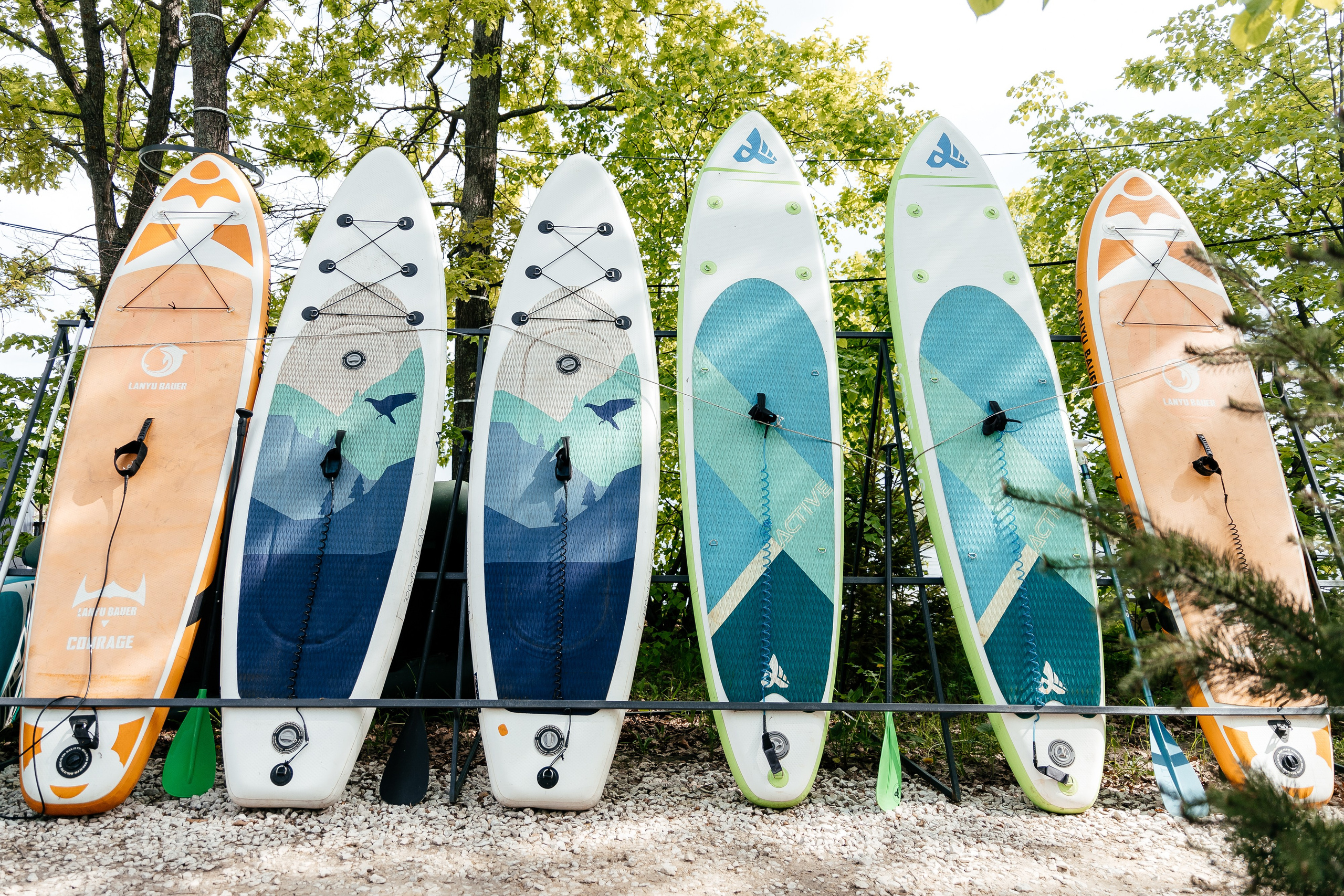 Тимбилдинг Электроцентр. Ваш самый лучший фотограф!