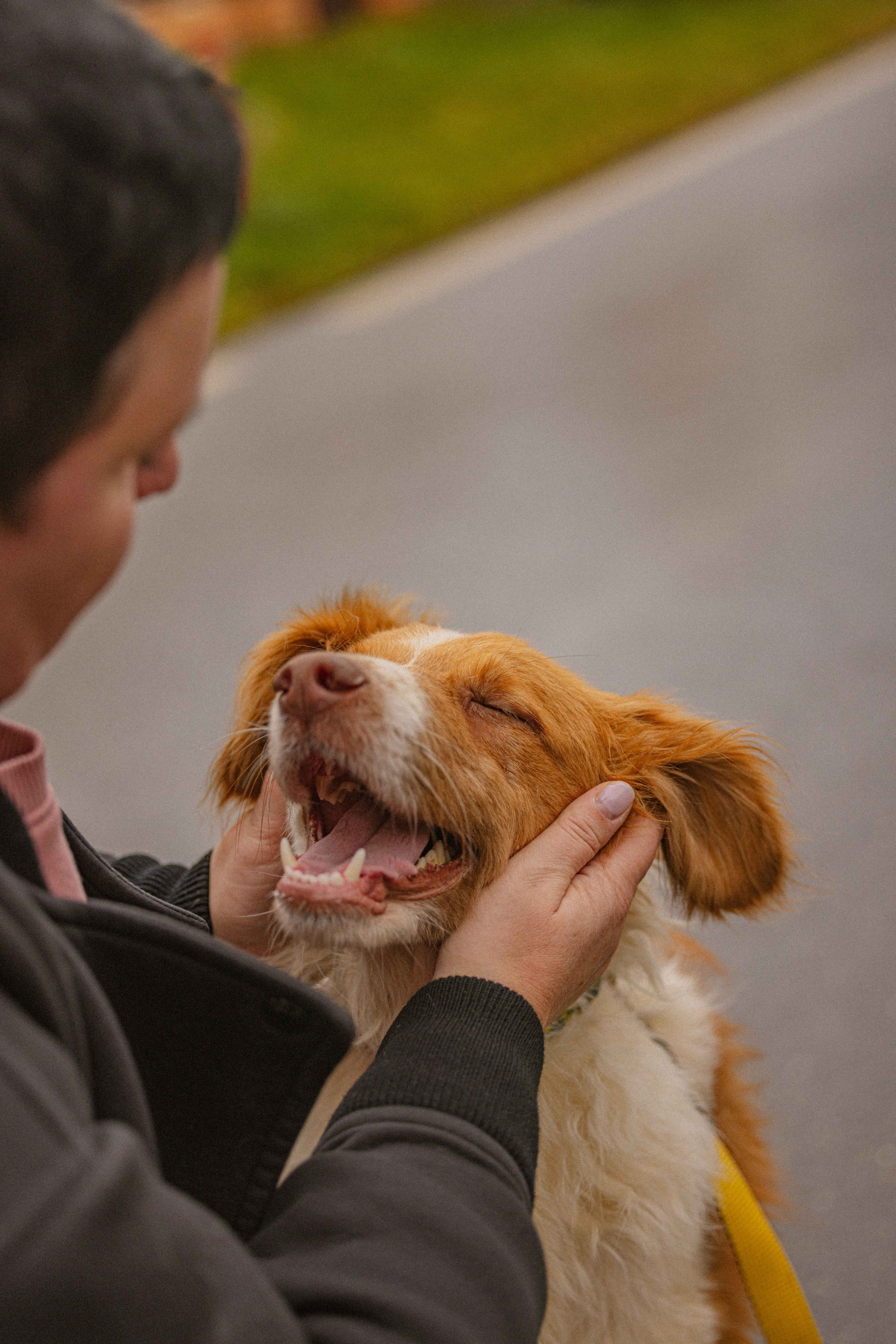 Передержка. Фотограф-анималист в Москве Лера Черноног