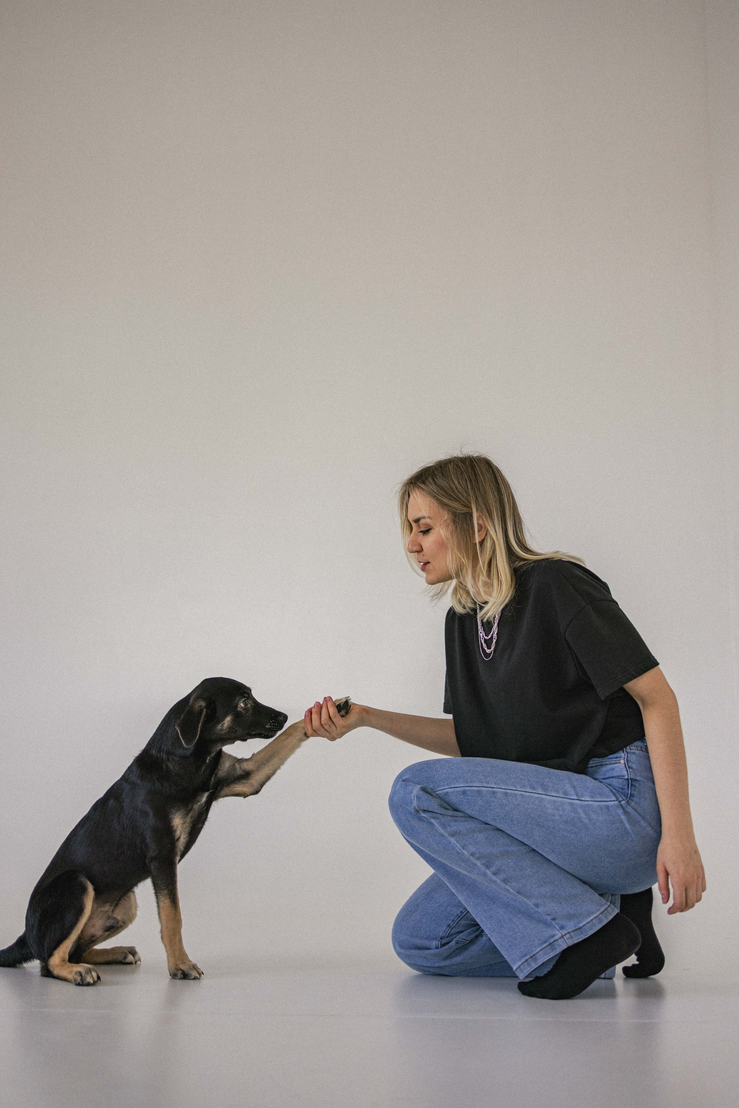 Крис и Тэдди. Фотограф-анималист в Москве Лера Черноног