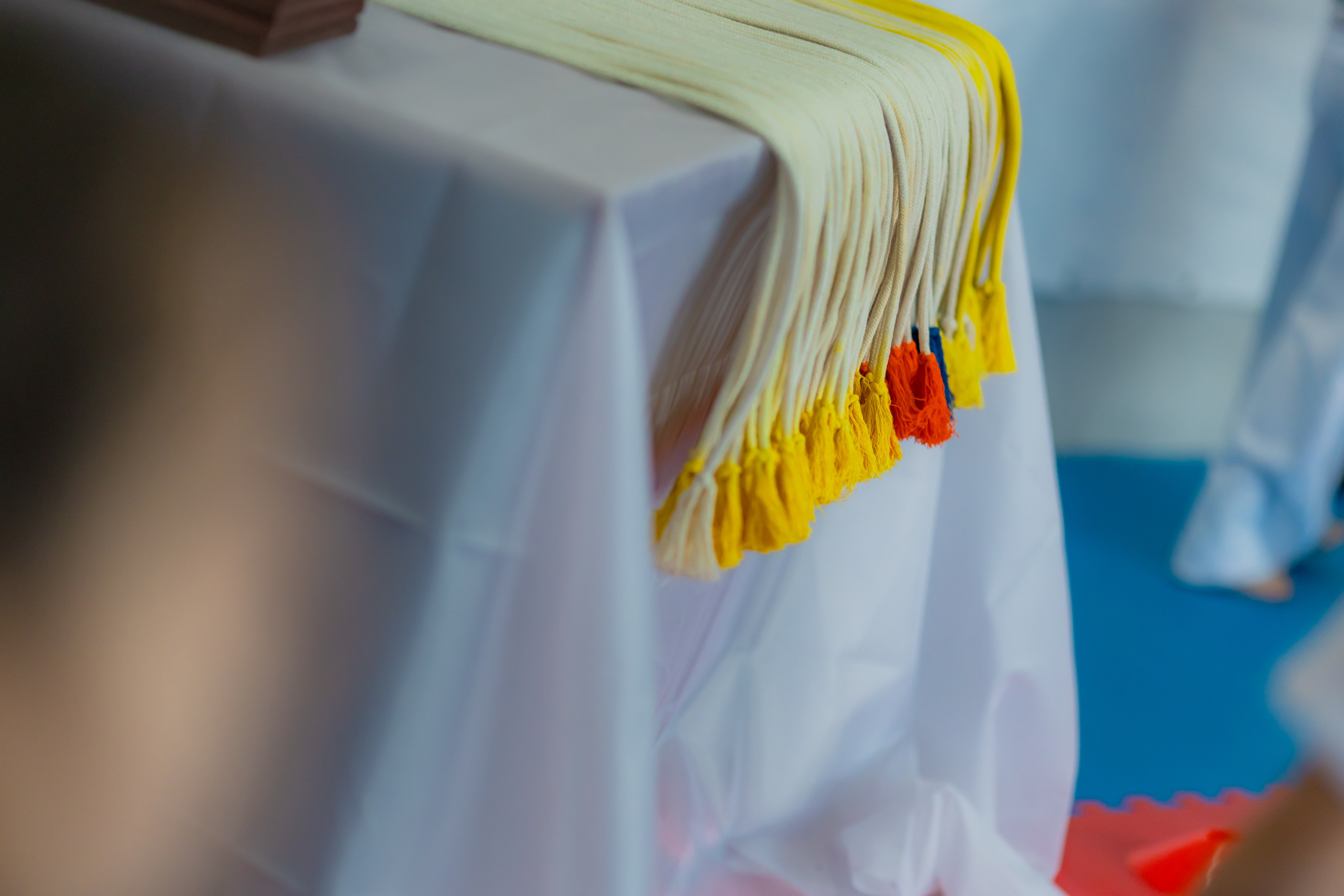 Капоэйра 2 Церемония вручения и смены поясов в Зеленограде. Детский и семейный фотограф Евгения Вахнеева Москва Зеленоград