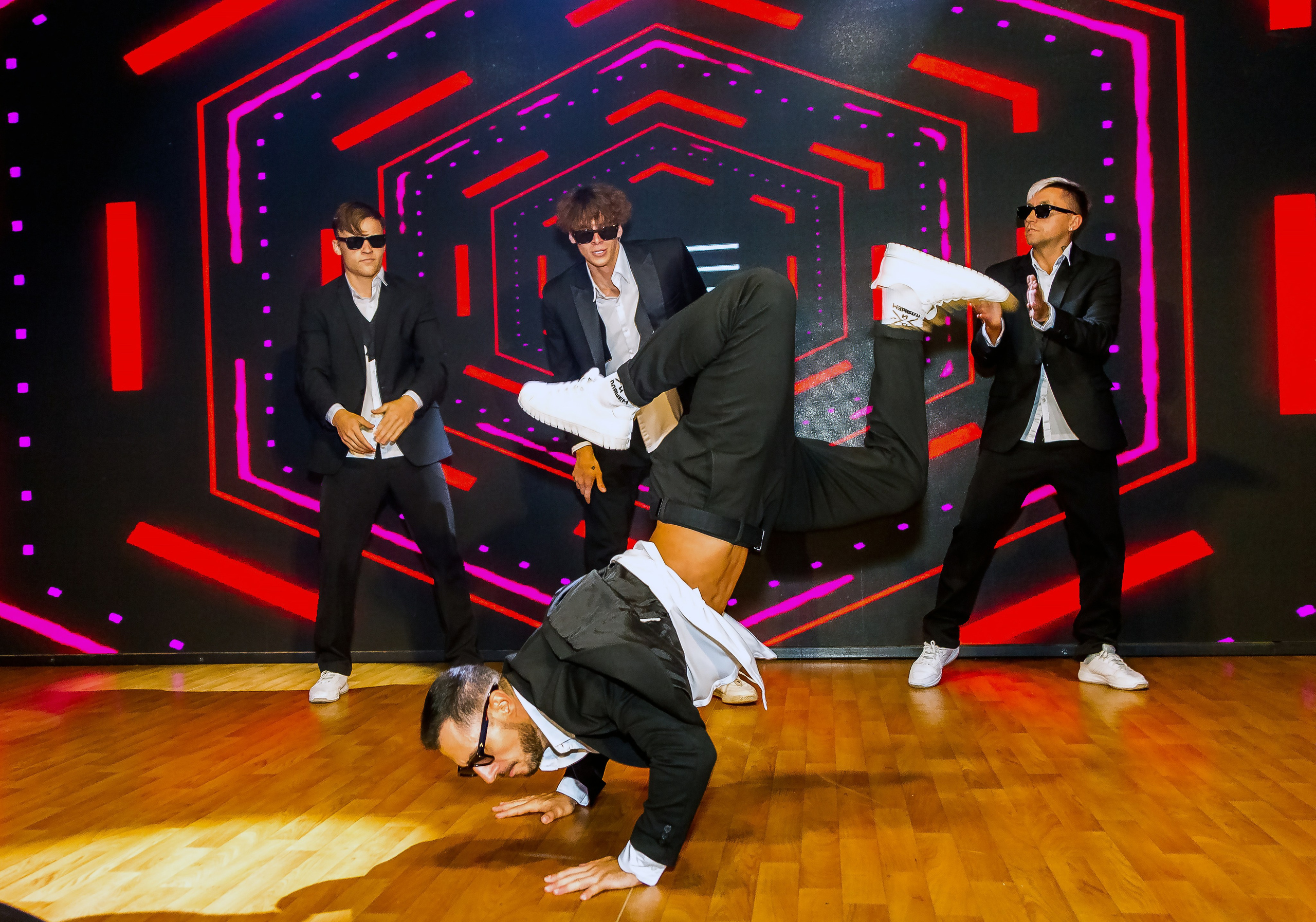 Репортажная съемка в Москве и области. Анималистика