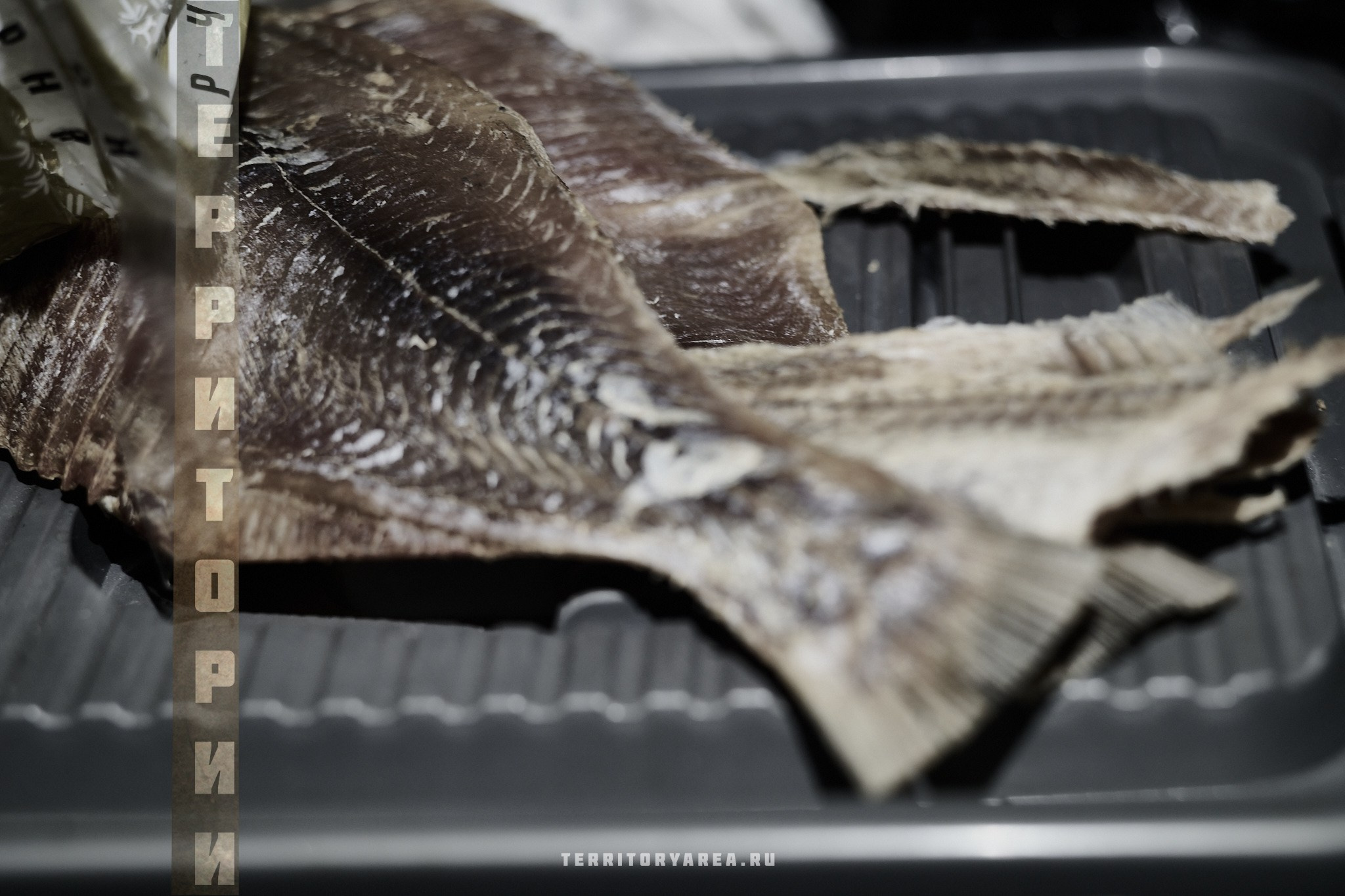 Открытки фотопроекта «Территории». Фотопроект «Территории»