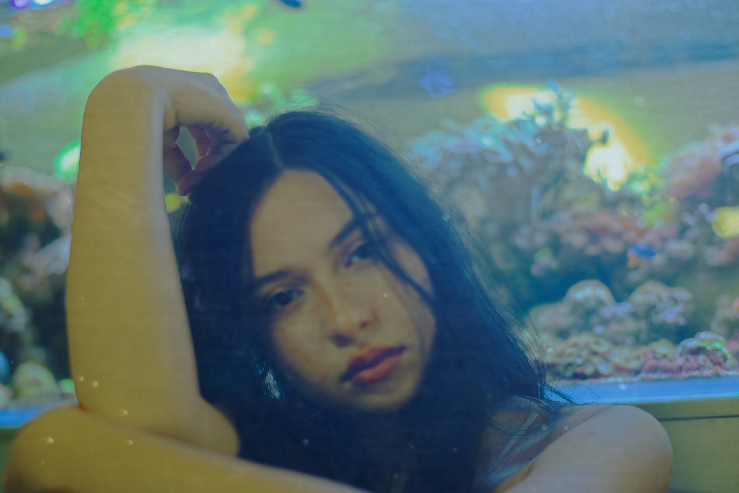 Аквариум. Фотограф Денис Шемет