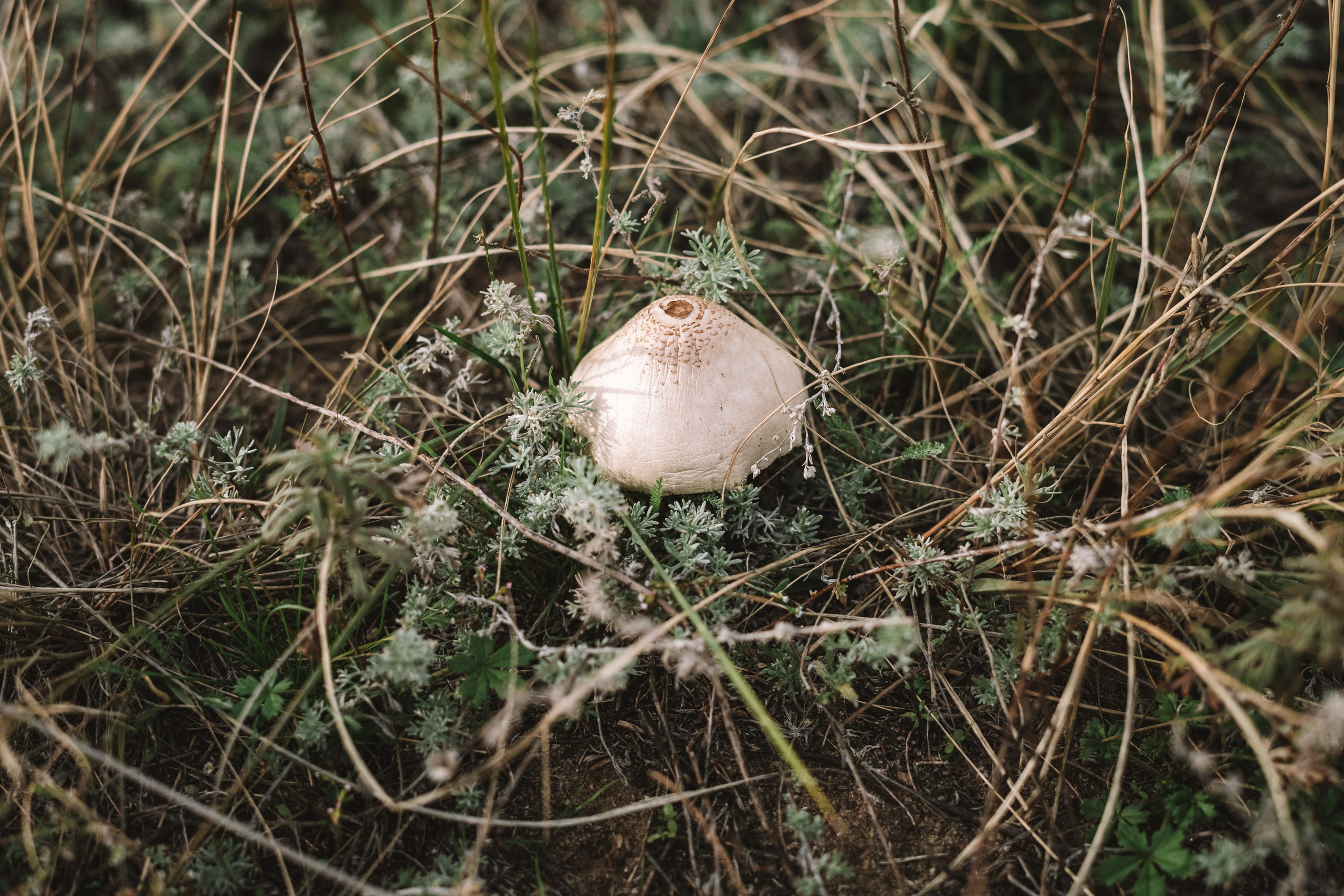 Прогулка по берегу Волги. Семейный фотограф СПб Анастасия Василь. Фотосессия на годик