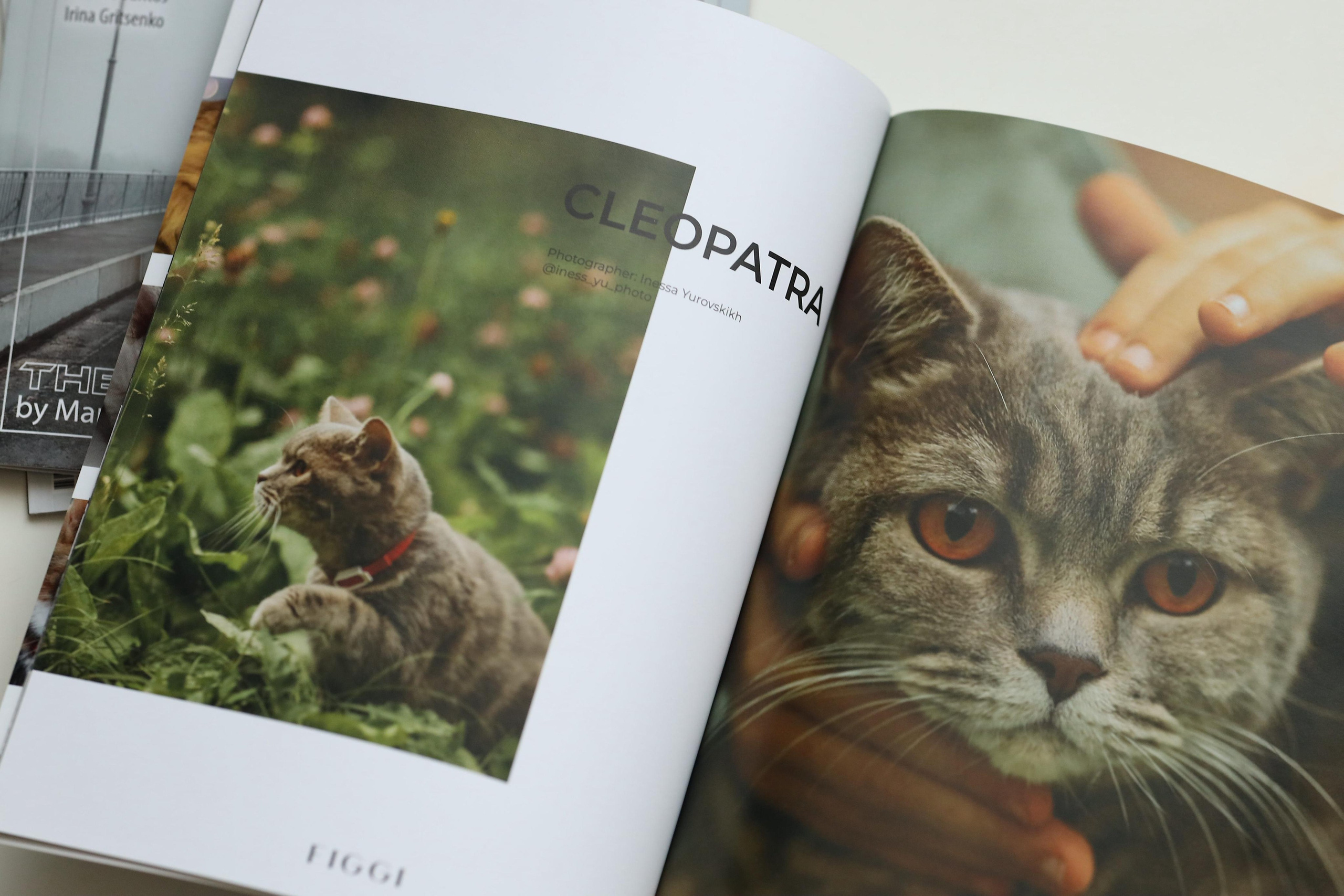 Публикации в журналах. Семейный и детский фотограф в Алматы Юровских Инесса