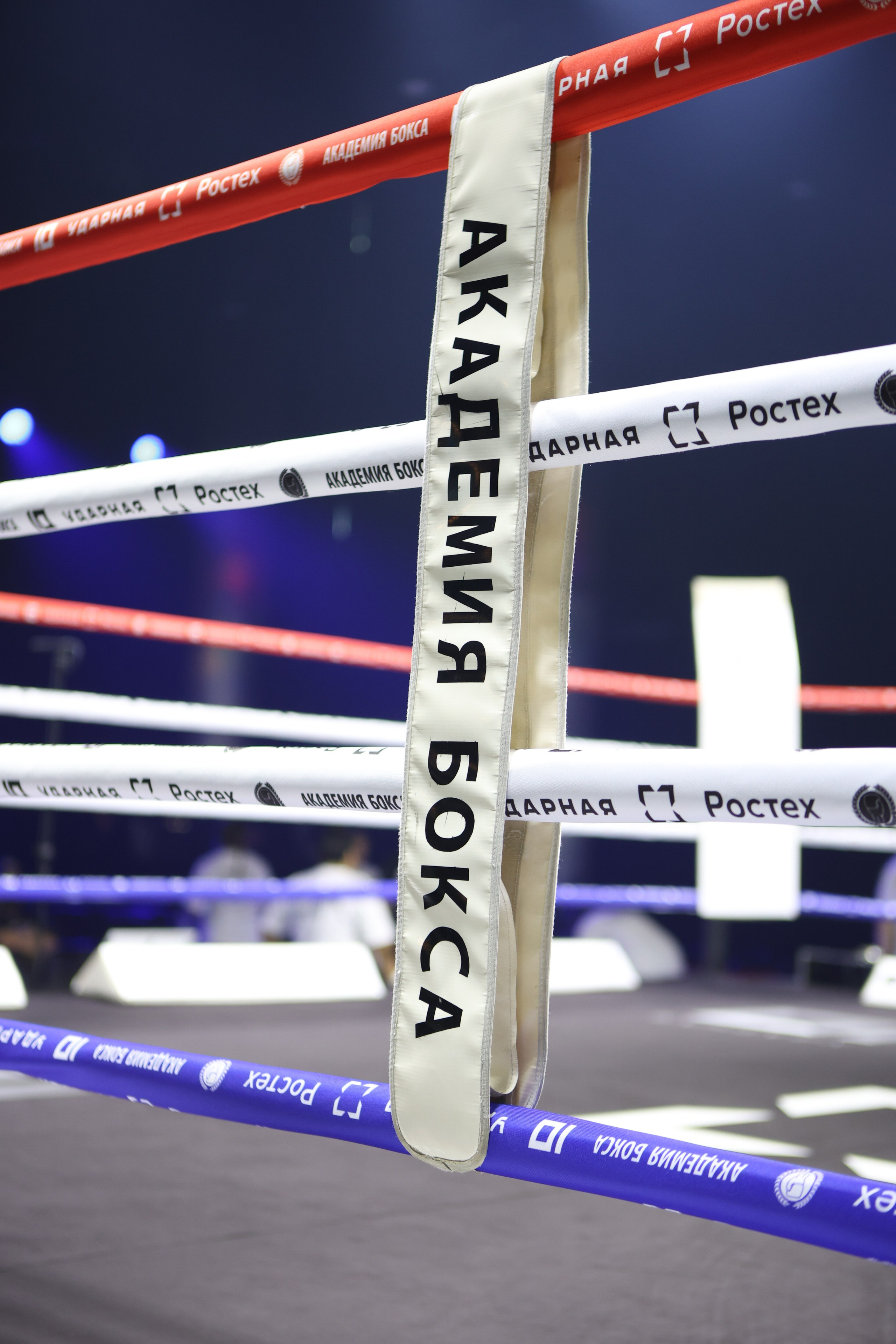 Ростех «Ударная десятка»