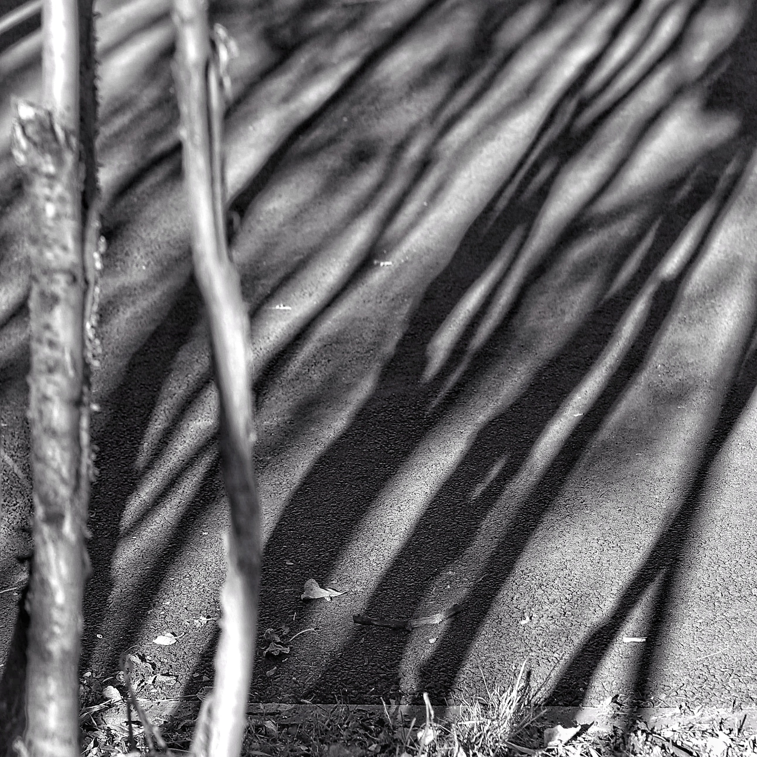 2025 год. Тащилин Сергей. Фотографии. Жизнь. Хобби