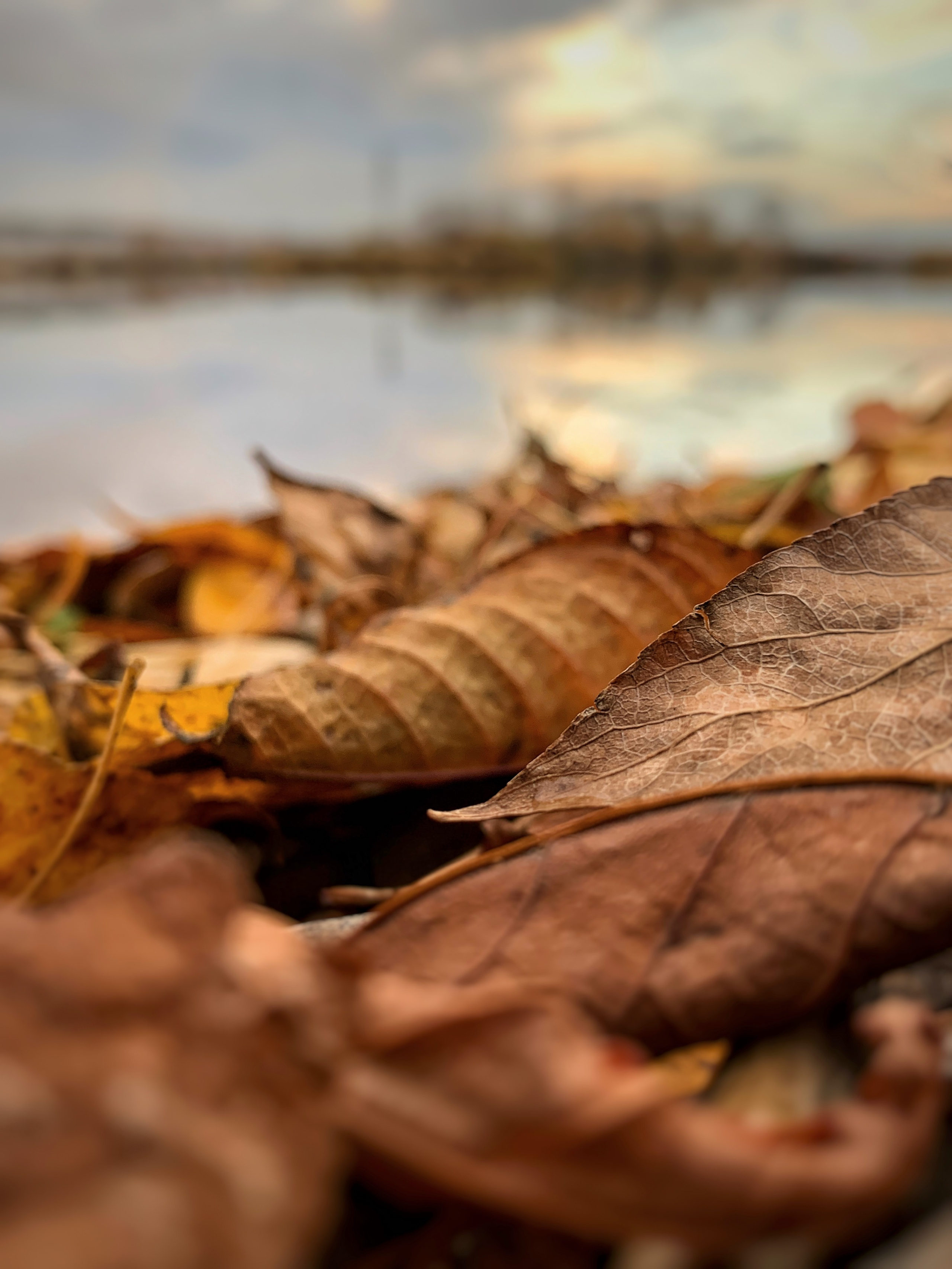 2022. Тащилин Сергей. Фотографии. Жизнь. Хобби