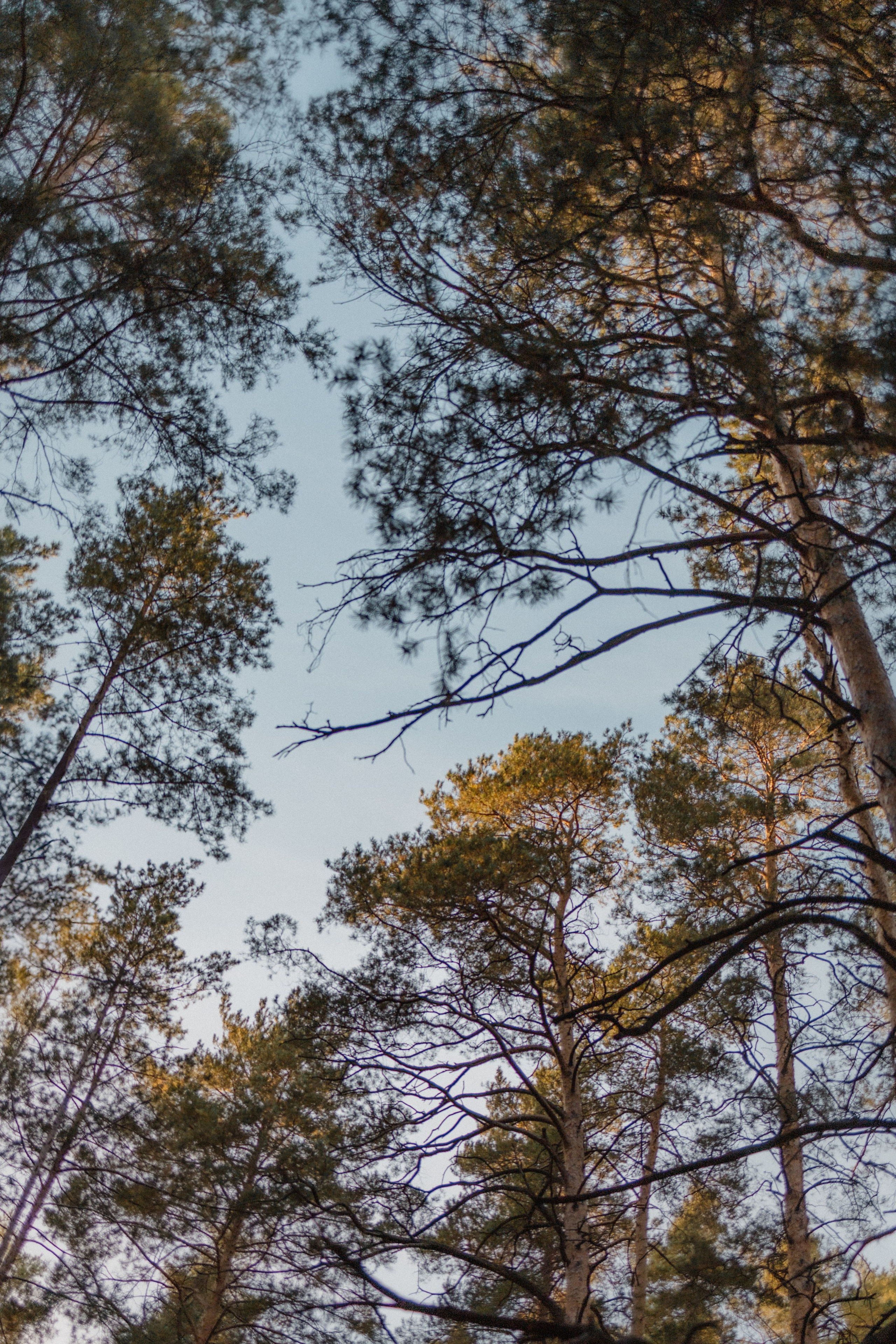 Индивидуальные фотосессии. Портретный и лайфстайл фотограф в Москве, Московской области и Казани Алёна Серебренникова