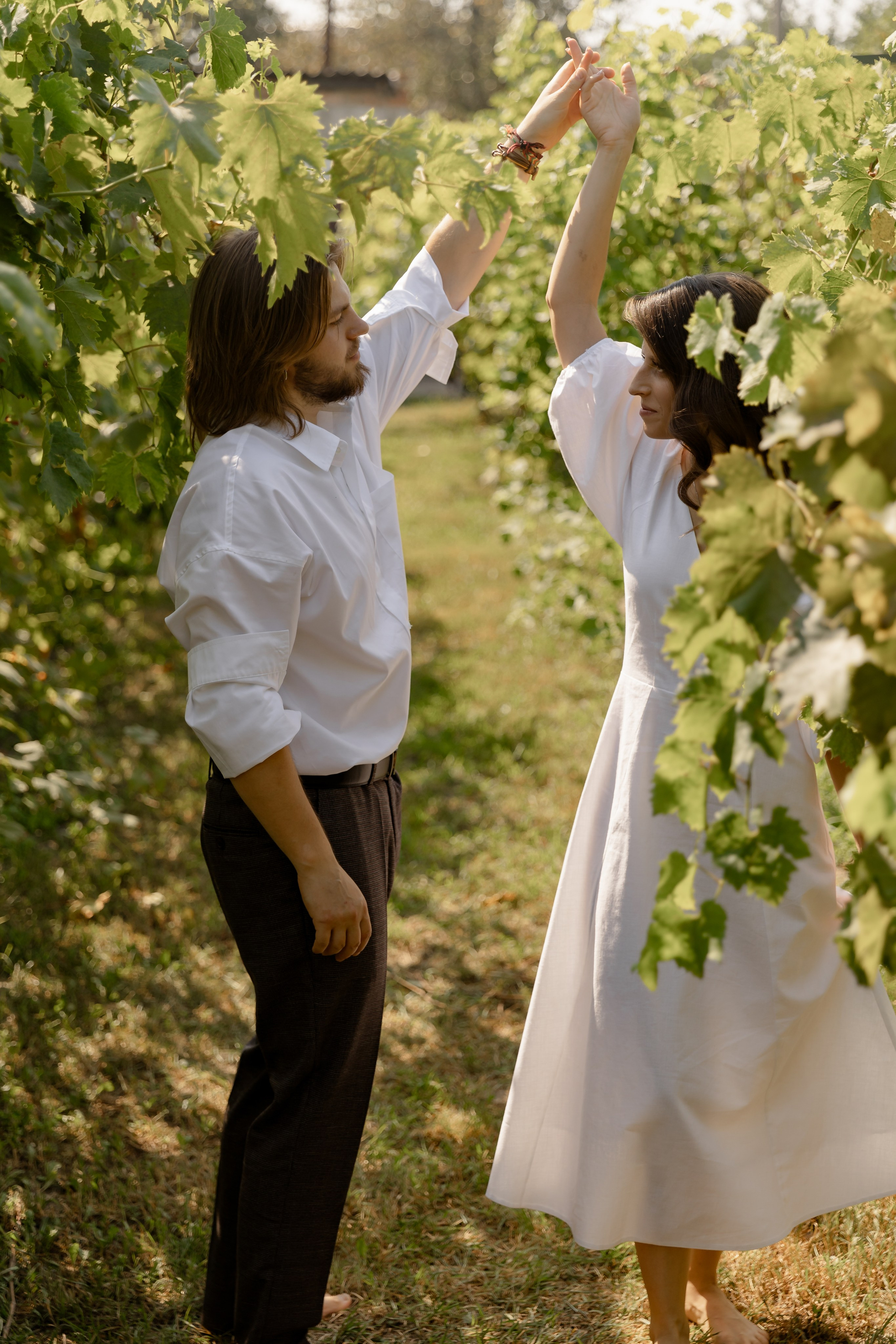 Виноградники. Dima Lemeshevsky