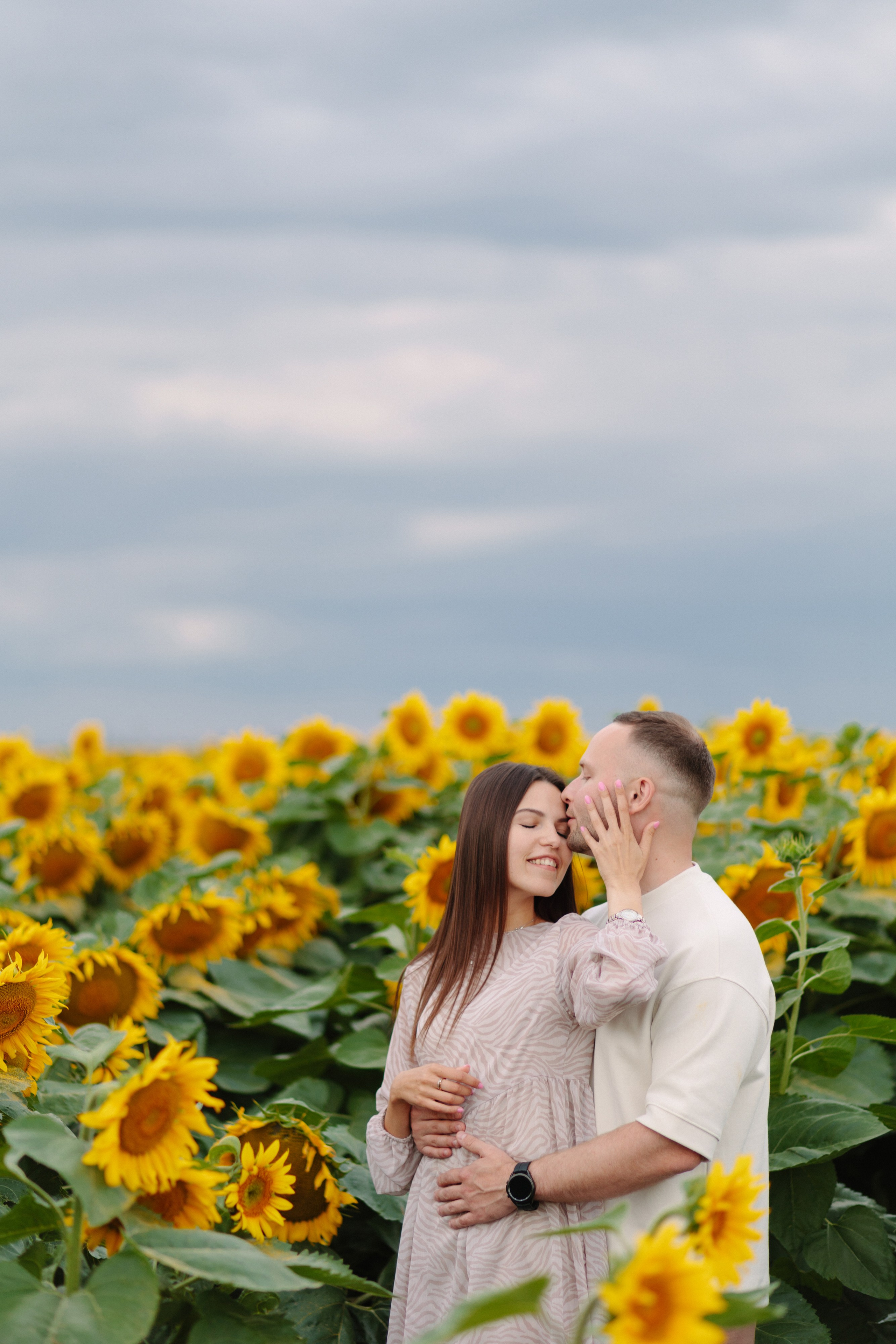 Подсолнухи. Dima Lemeshevsky