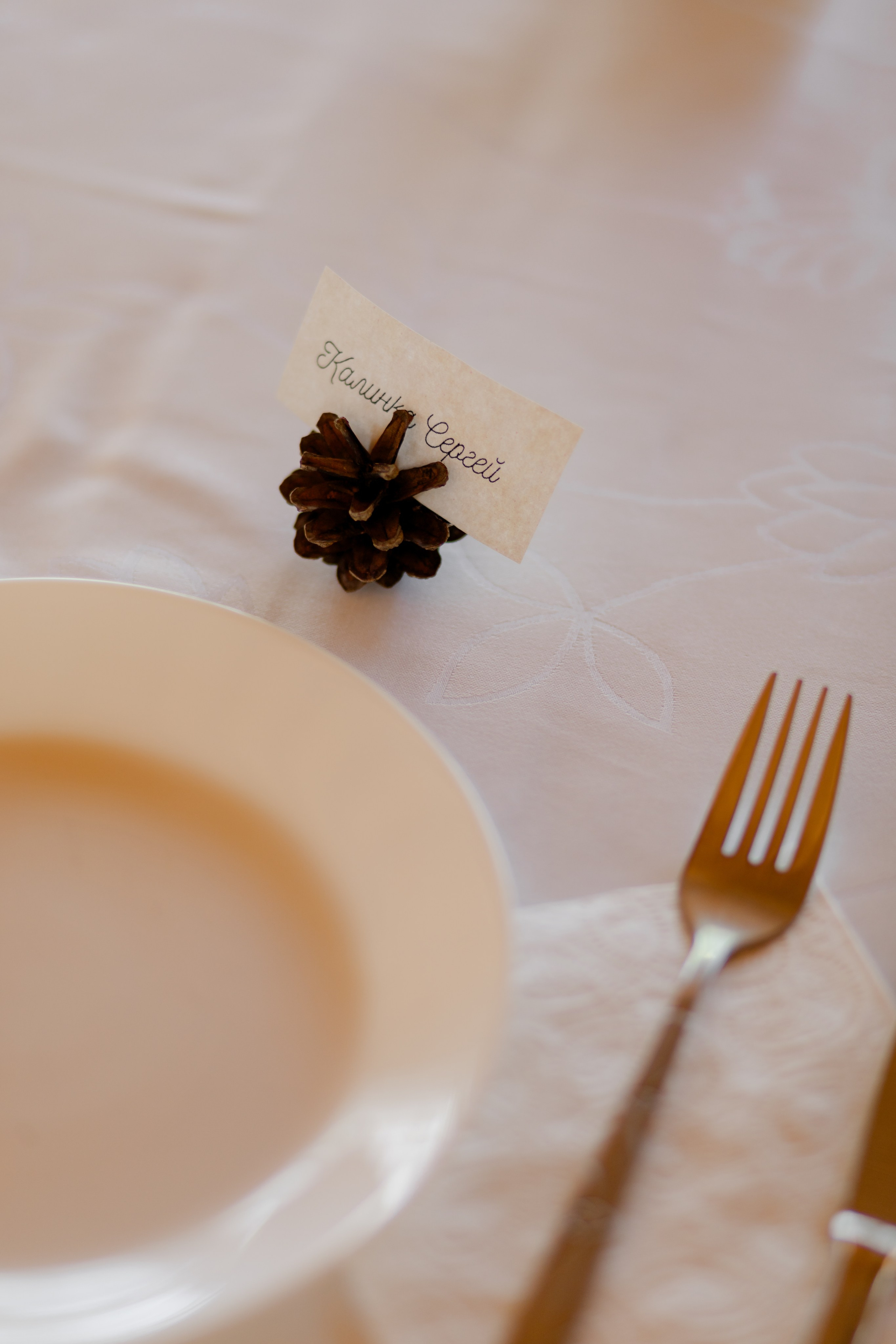 Виноградники. Dima Lemeshevsky