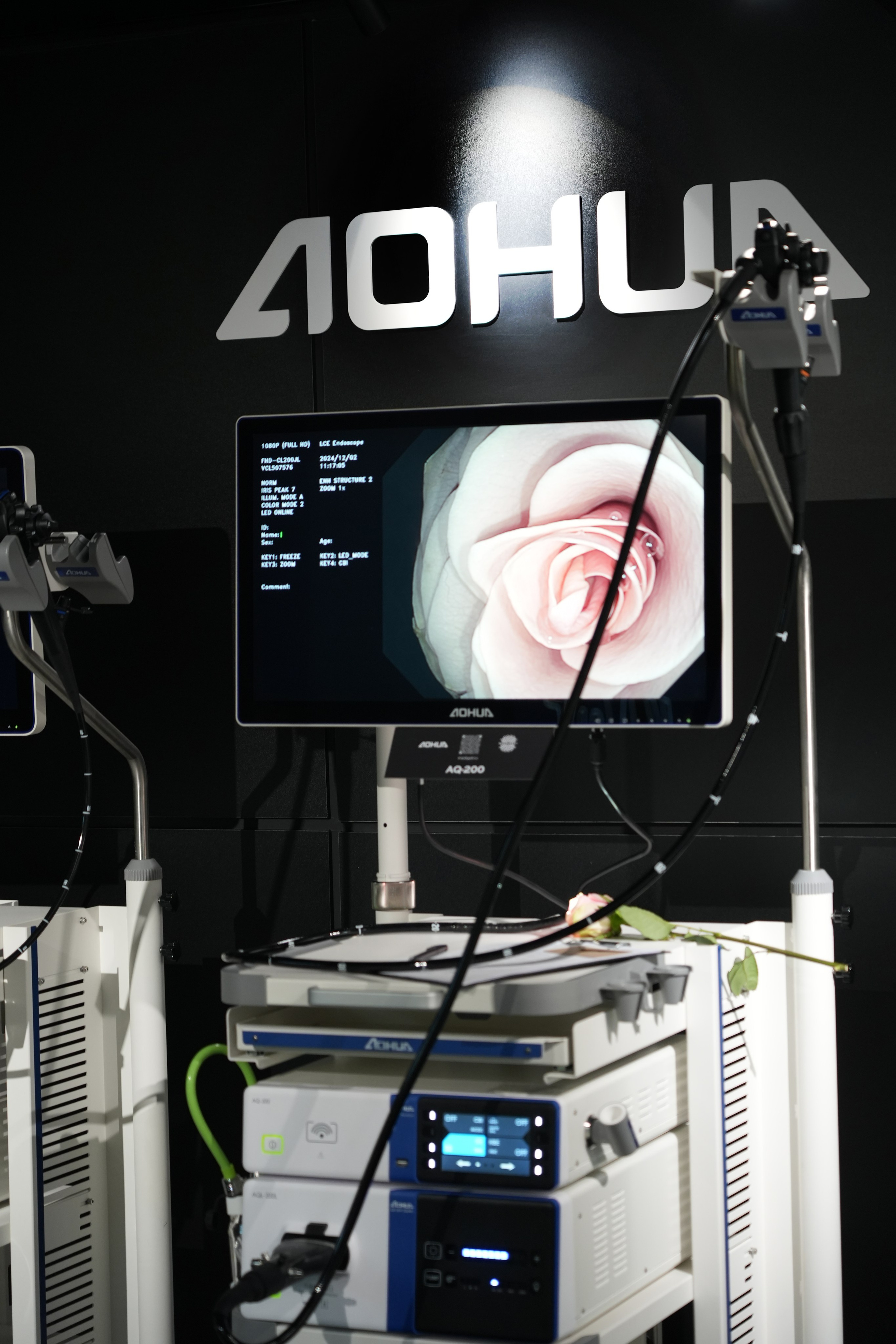 О дизайнере