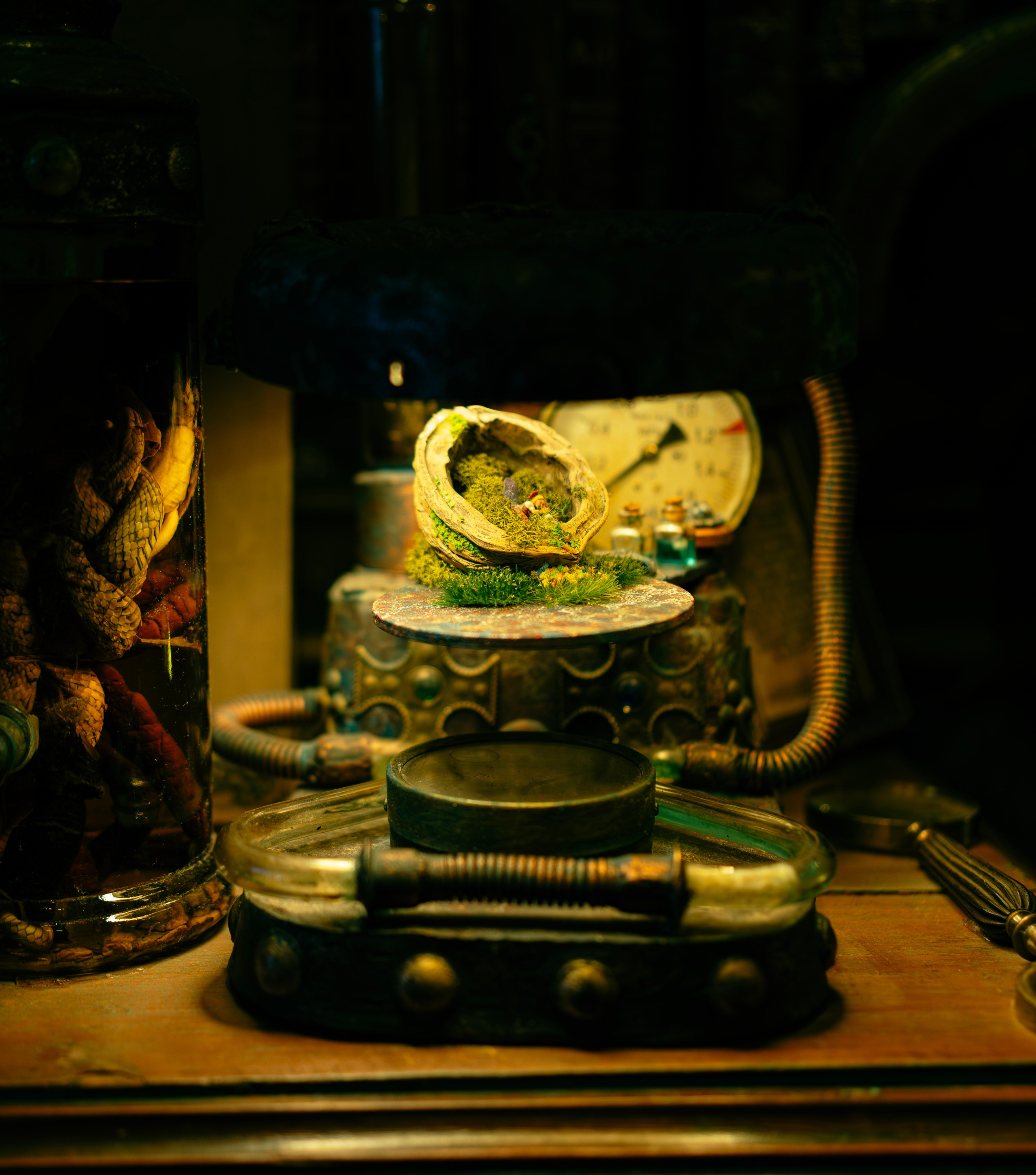 Небылица. Баев Дмитрий — фотограф из СПБ