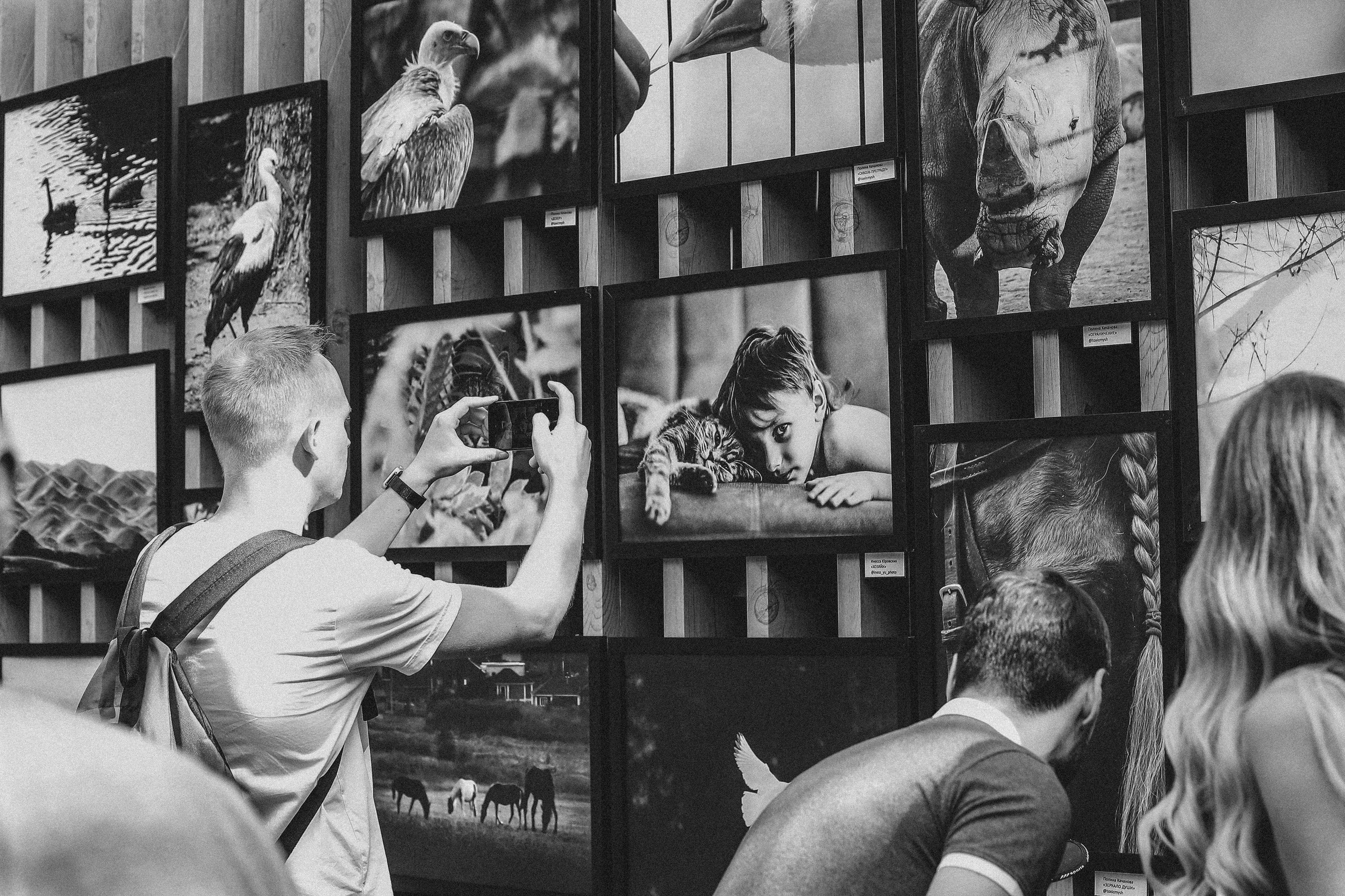 Выставки. Семейный и детский фотограф в Алматы Юровских Инесса