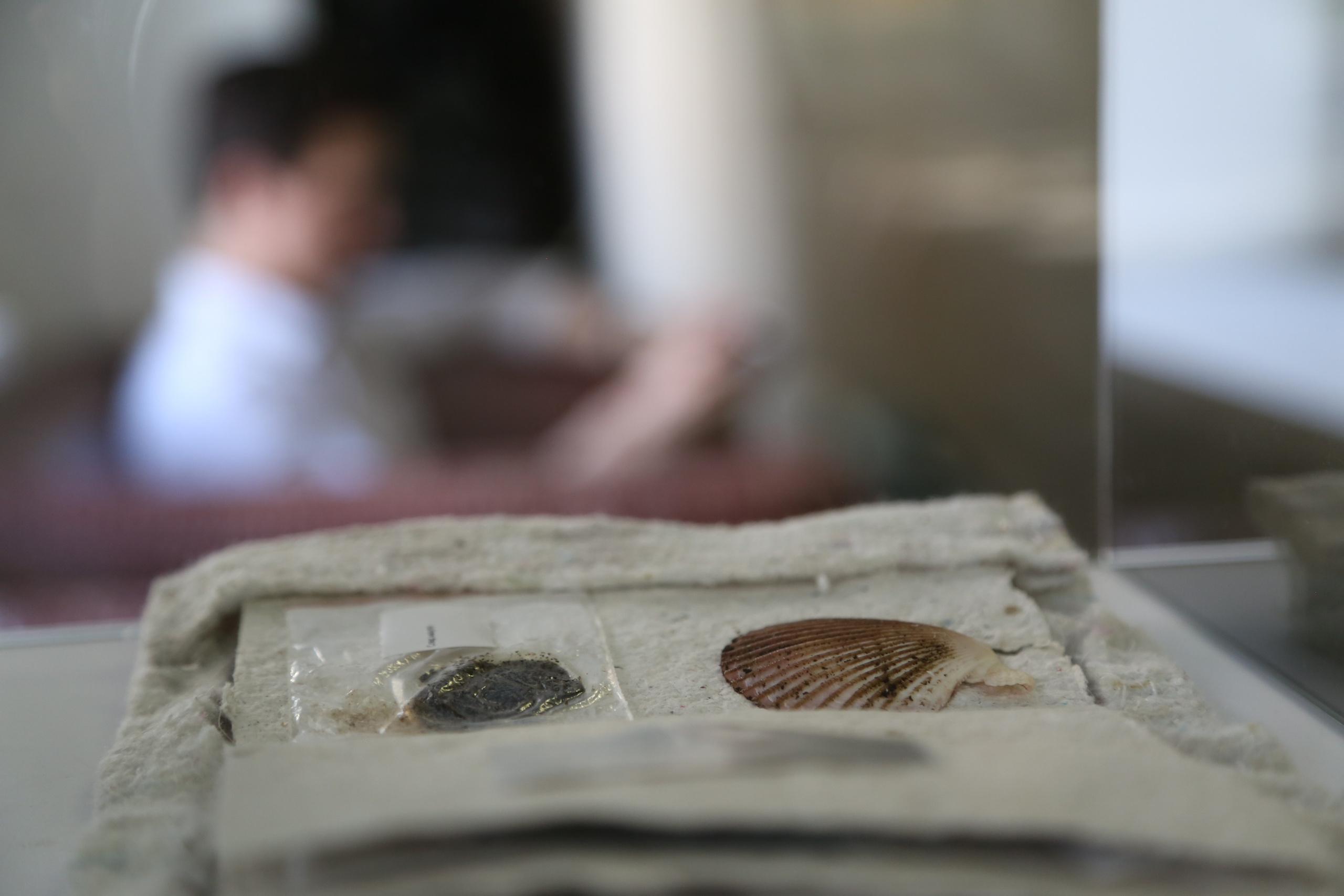 Жердёла 2025 Самара. Лера Круглова