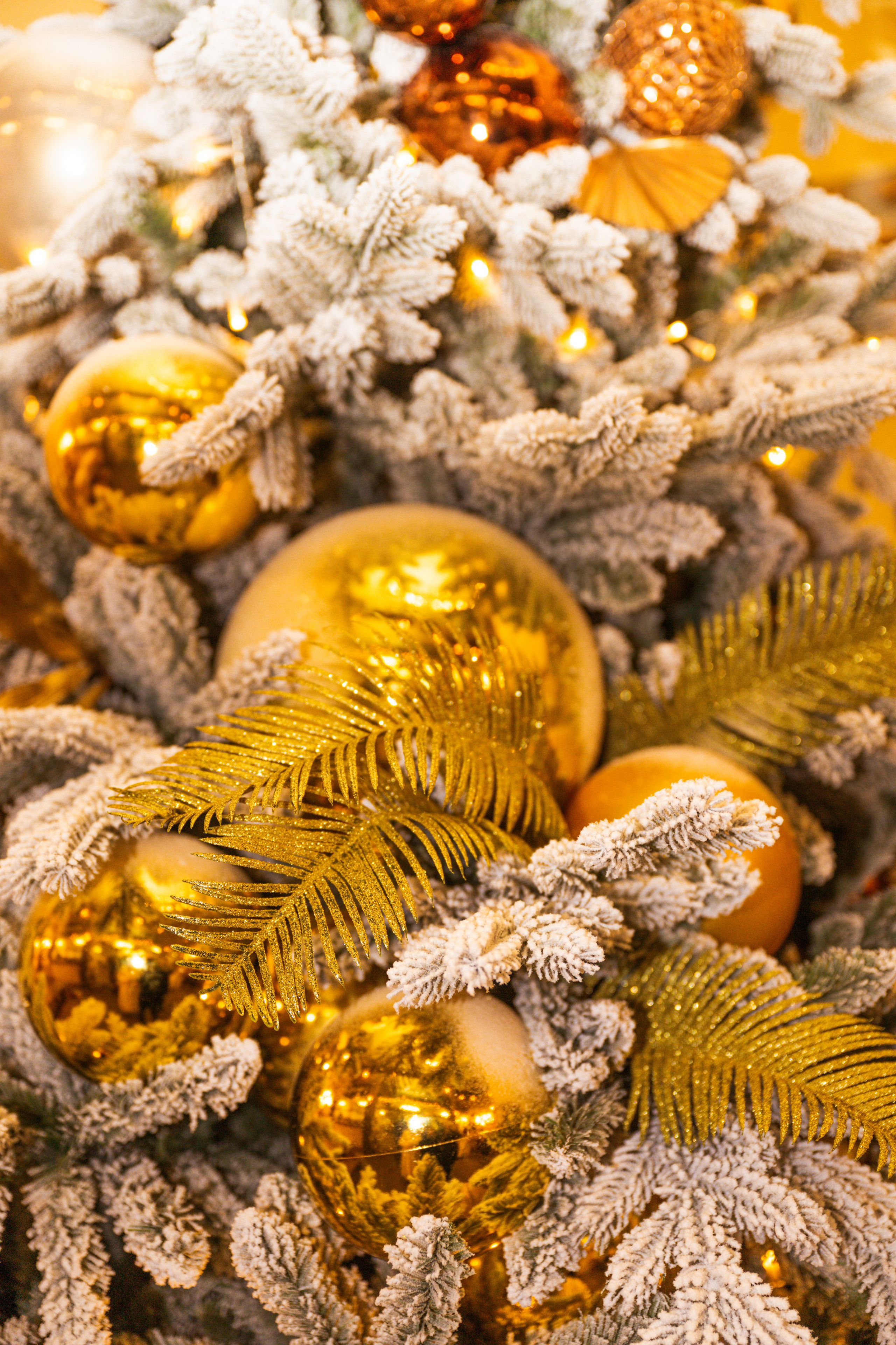 Контент и предметная съемка. Реклама. Бизнес. Студийный и свадебный фотограф и видеограф в Севастополе — Юлия Макаренко