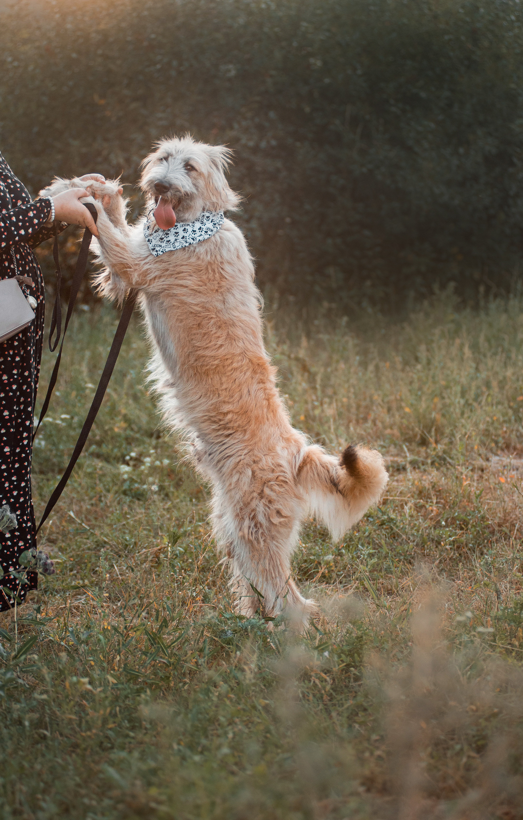 Пух ищет дом. Фотограф — анималист Саратов/Москва|Плужникова Юлия