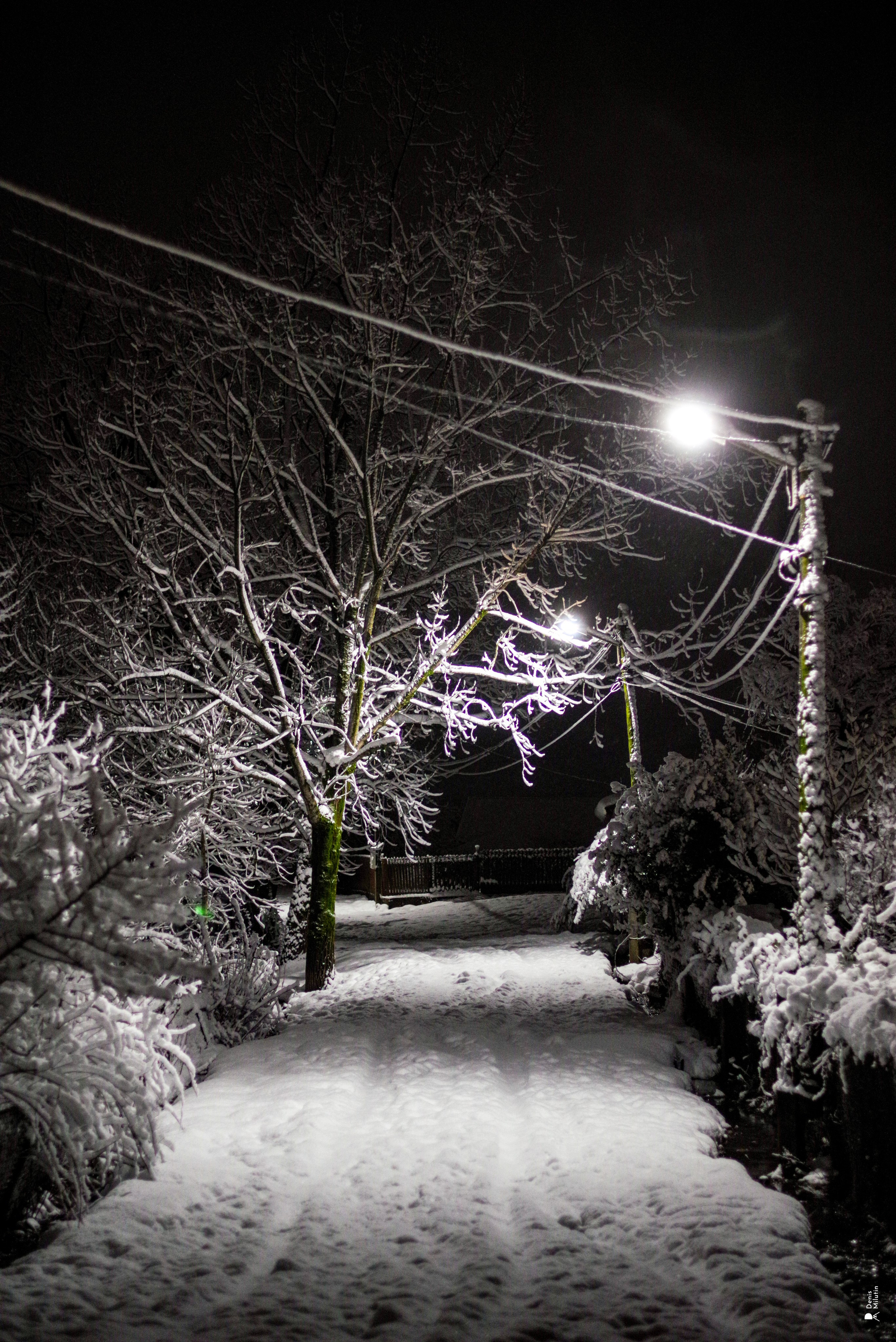 Ночь в Менджи. Портретный фотограф Денис Милютин