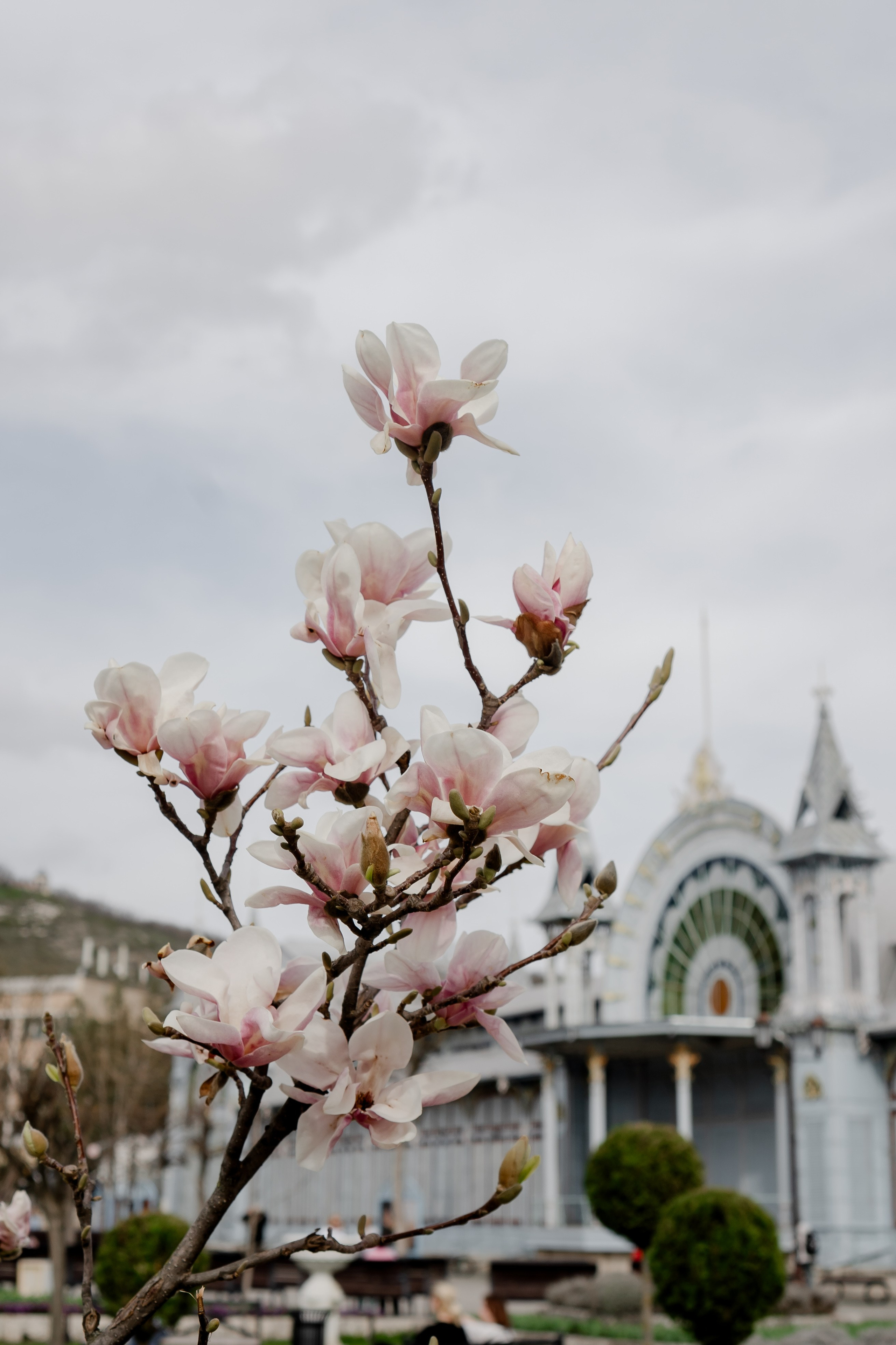 ПЯТИГОРСК. Профессиональный фотограф, Санкт-Петербург — Виктория Богомолова