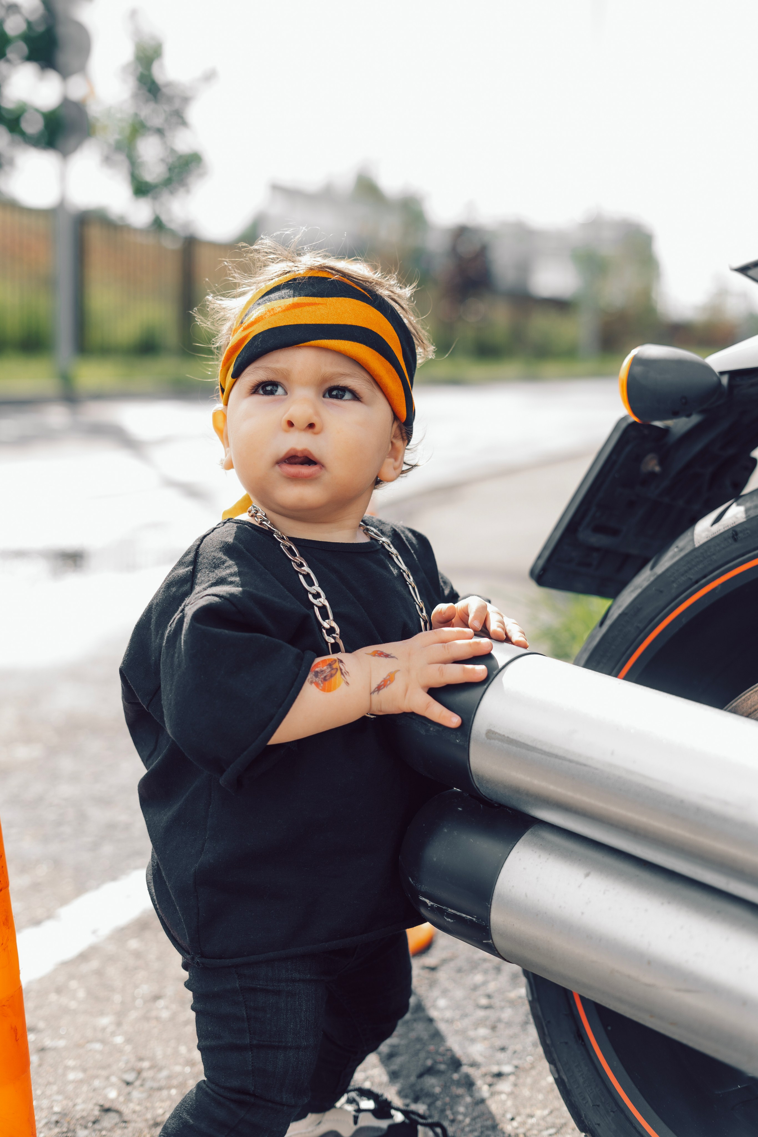 ЛЮБИМЧИК ГАСПАРЧИК. Фотограф Москва Екатерина Бондаренко