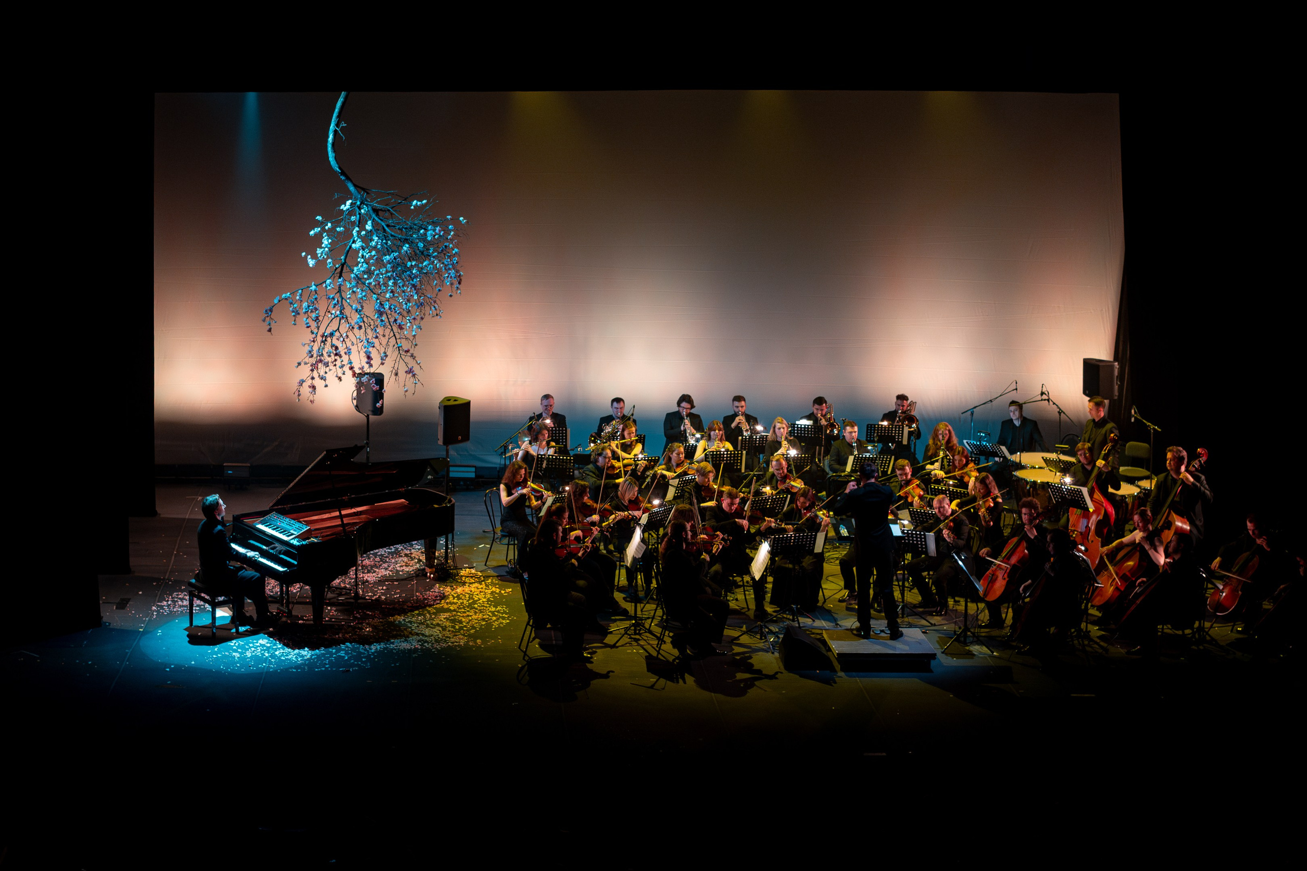 Никола Мельников / 2024. OOPS