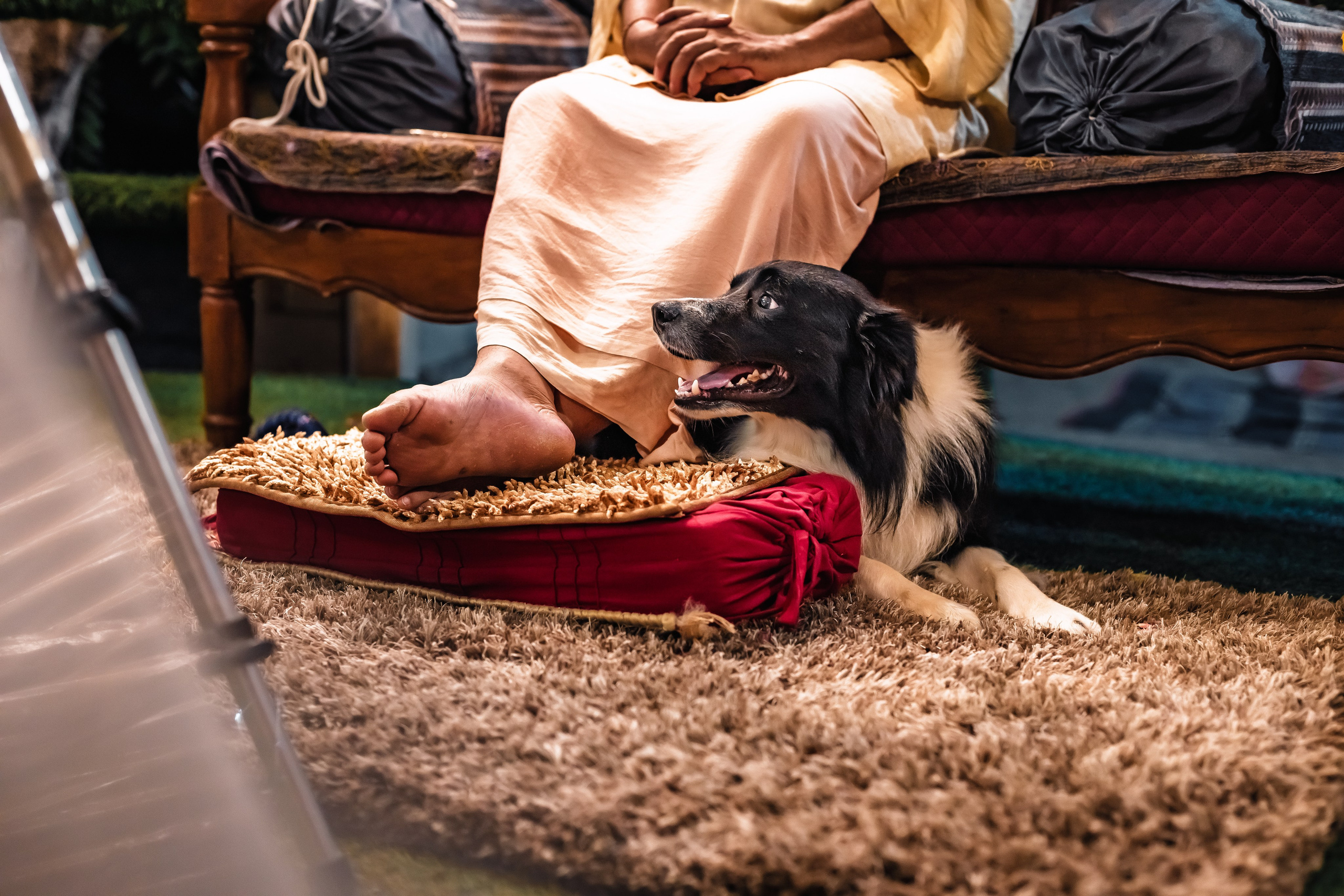 Devraha baba ji ashram life 2025. Mariam Bagdasaryan