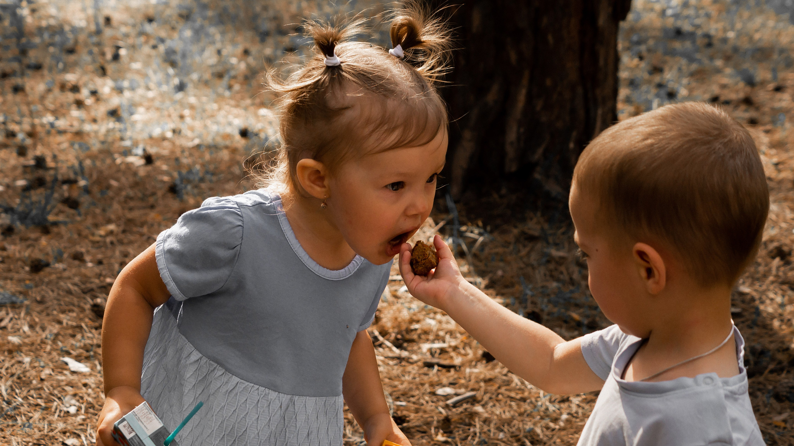 Семейные. Семейный, детский и женский фотограф города Барнаул Кудаева Анастасия
