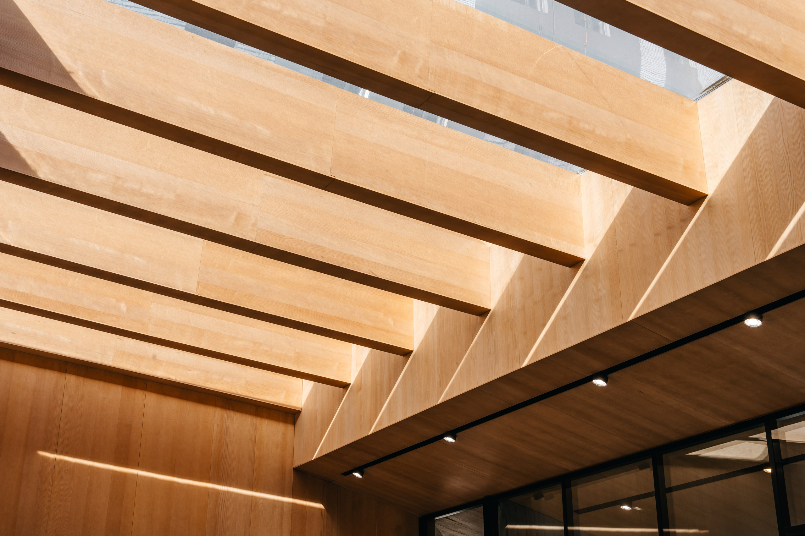 FØRST, FORMA. @tomrus: Рустам Шагиморданов — фотограф