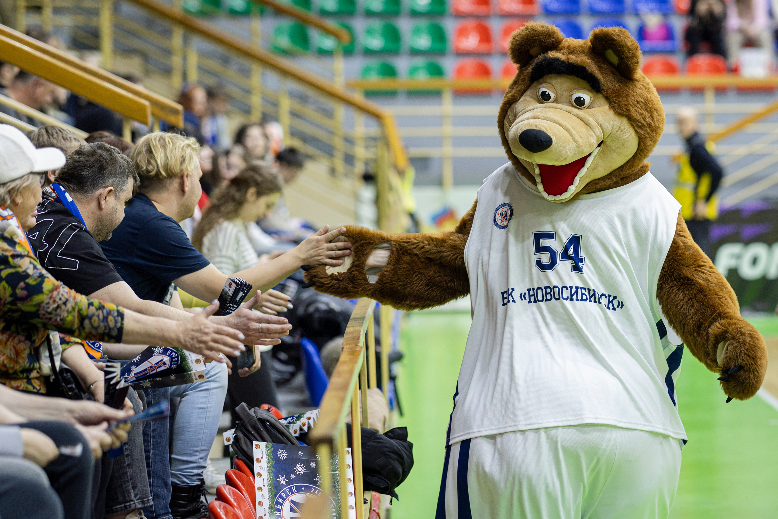 БК Новосибирск. Bertran Ordo