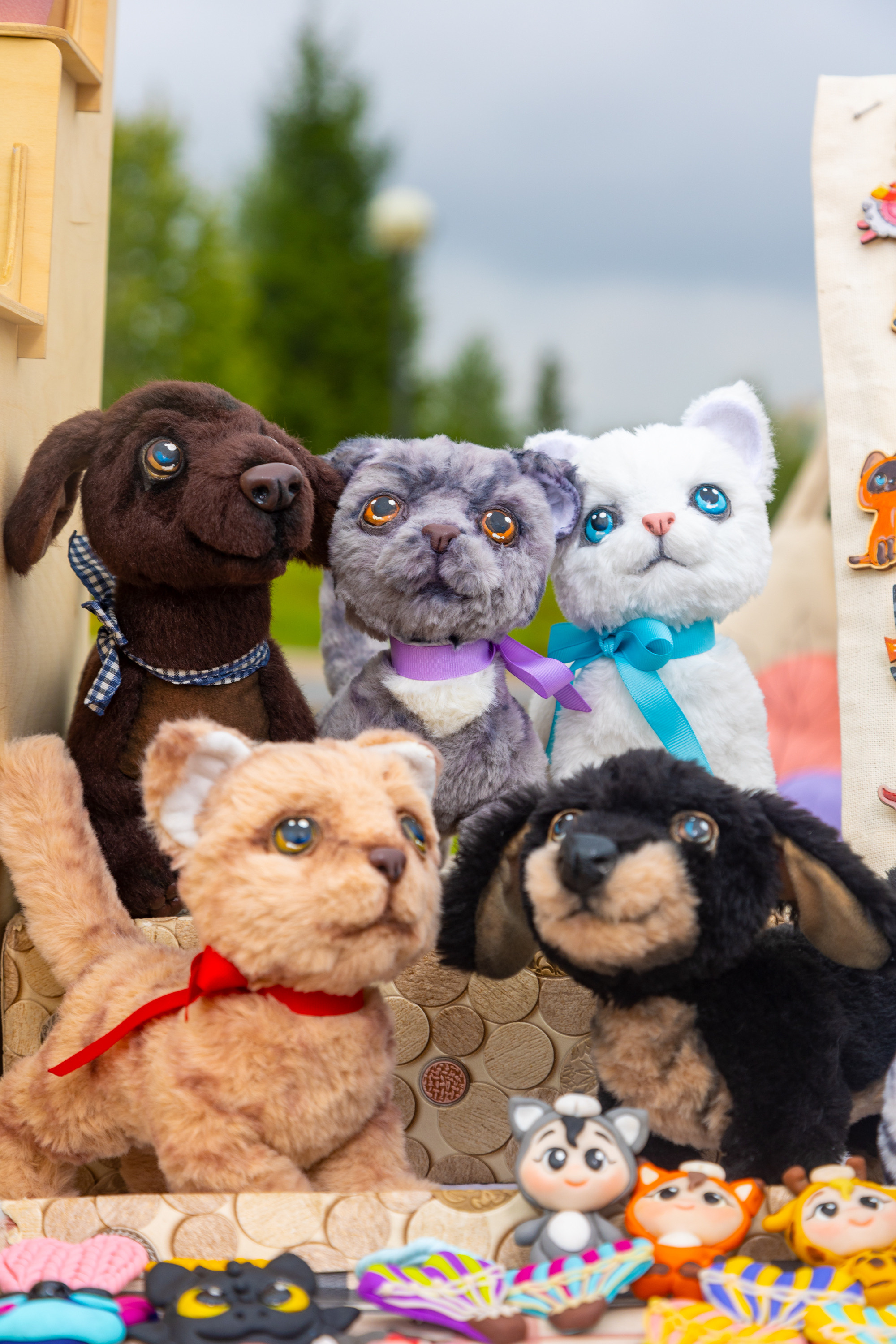 Зори над Томью. Фотограф Князев Сергей