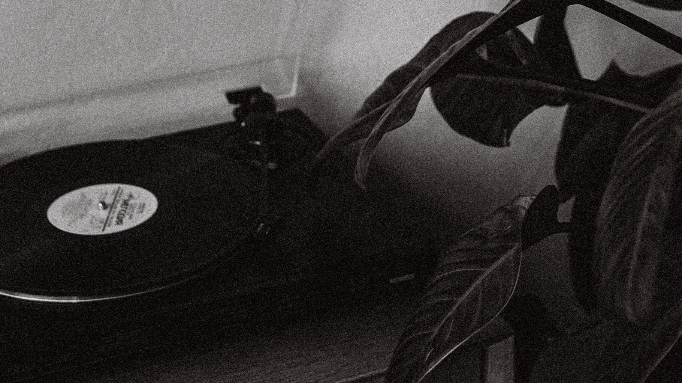 Вика и Даниэль. Фотограф Челябинск Юлия Ермакова