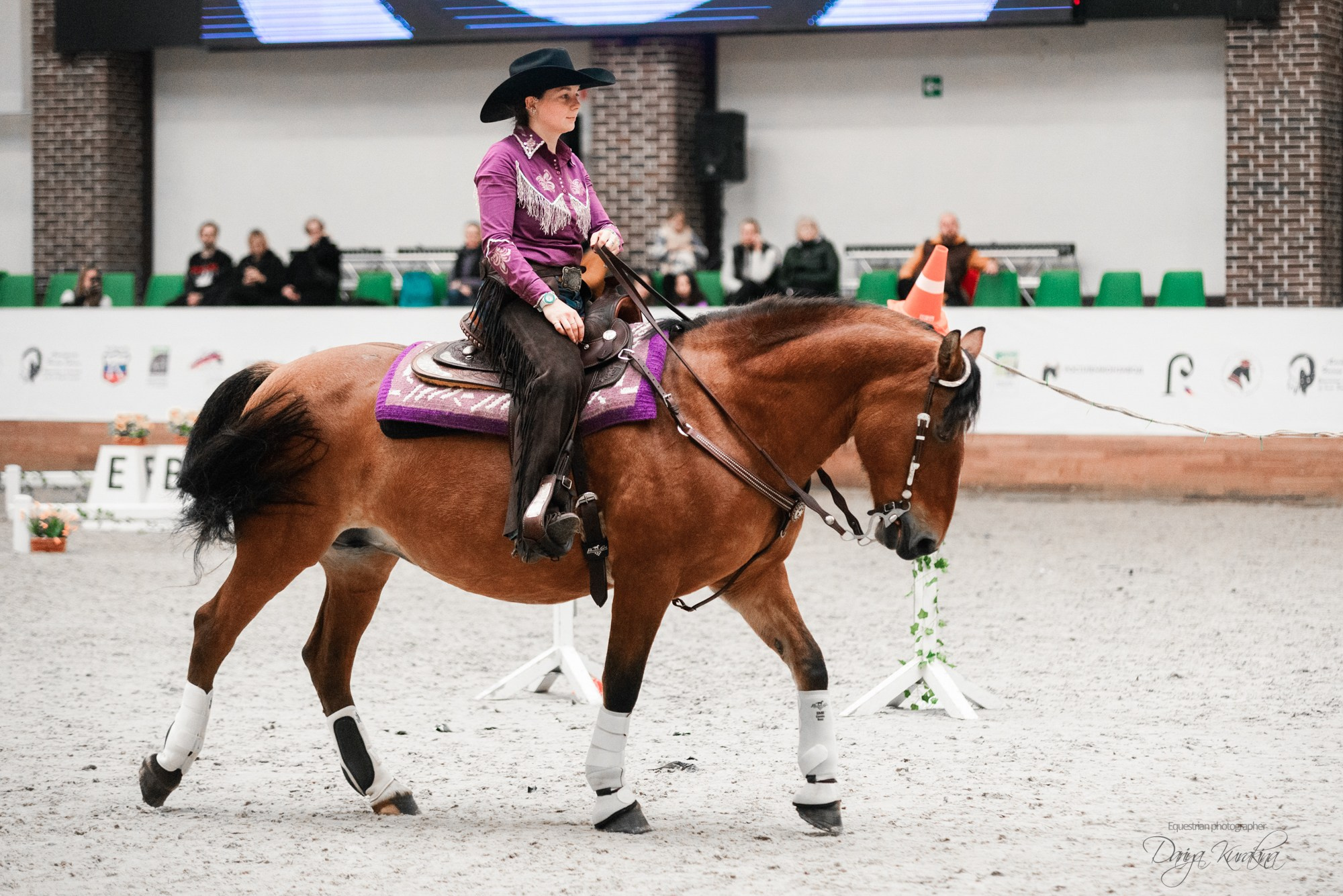 8-я международная выставка Конная Россия. Конный фотограф Куракина Дарья • Фотосессии с лошадьми