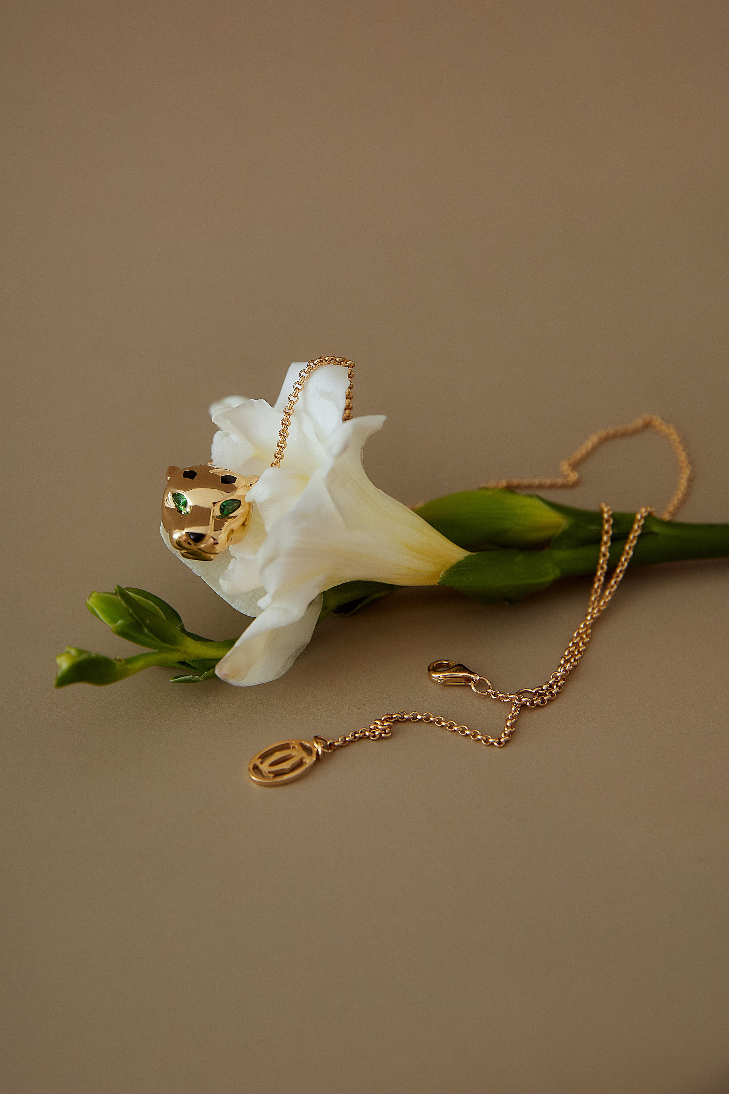 Ювелирные украшения (предметная). Фотограф