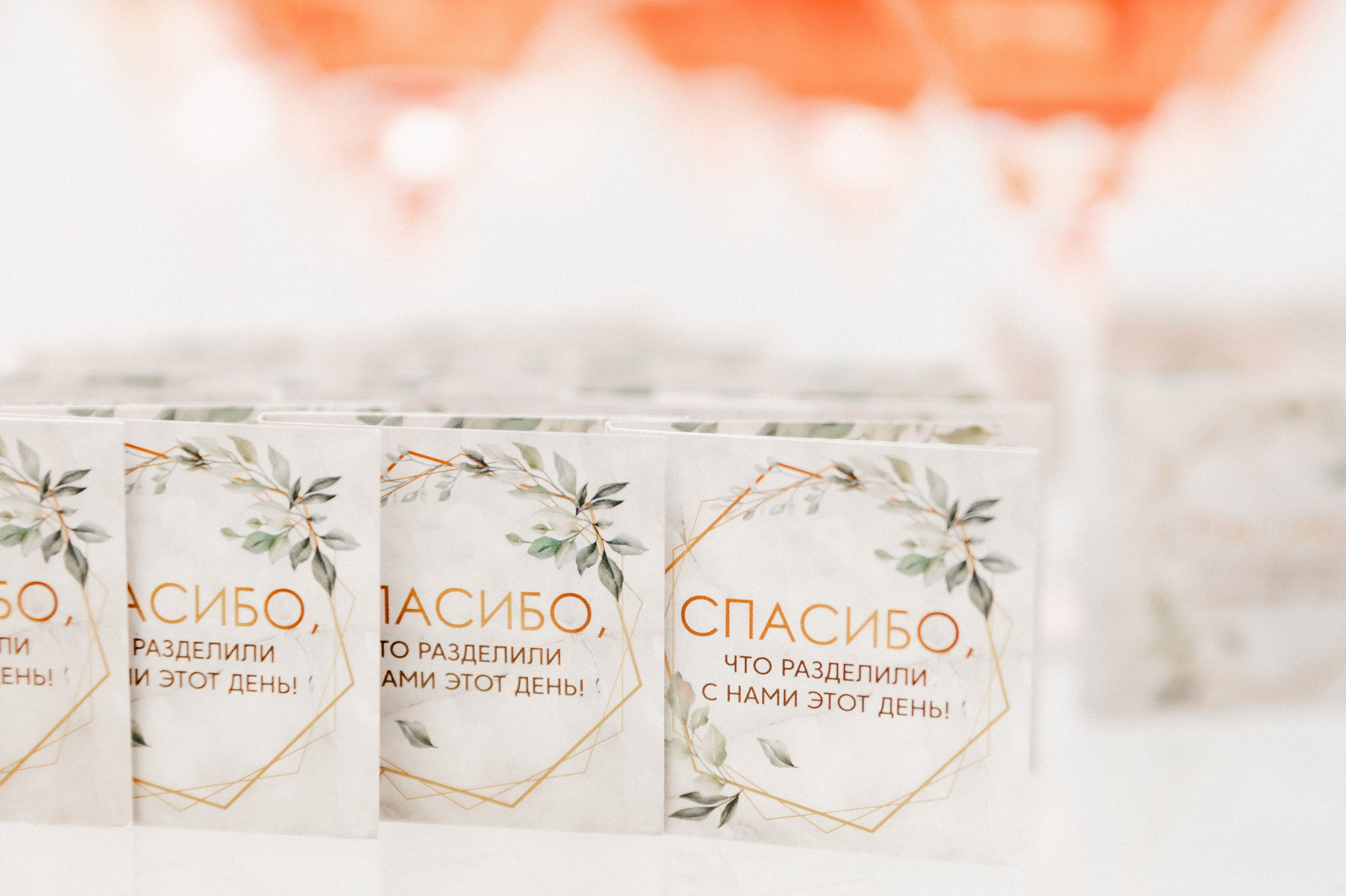 Иван и Софья. Фотограф в Челябинске Наталья Епимахова