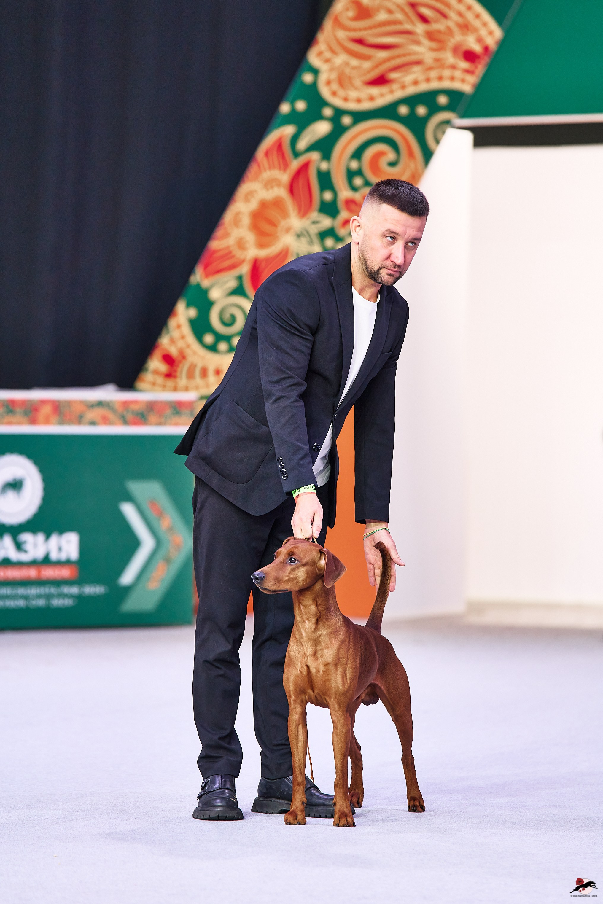 16.11.2024 «ЕВРАЗИЯ. КУБОК ПРЕЗИДЕНТА РКФ 2024»