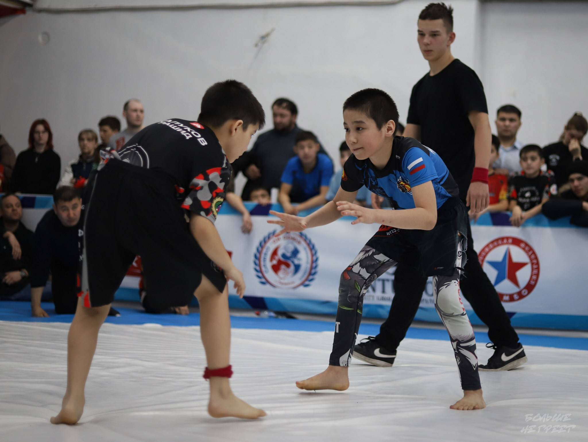 GORILLA PRIDE CUP. Больше не греет