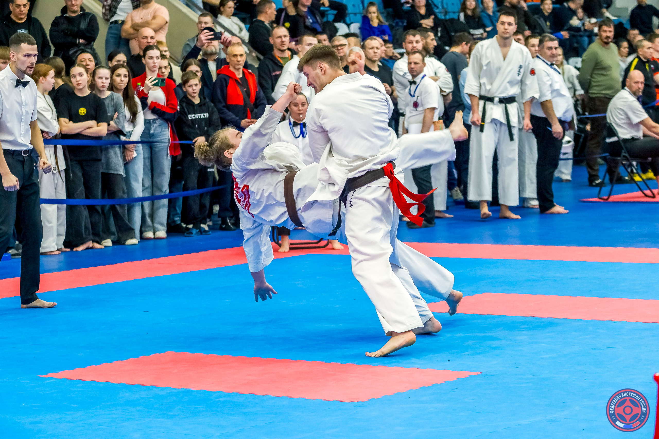 Международный турнир по киокушин «Открытый кубок Seiken». Репортажная съемка в Москве и области. Анималистика