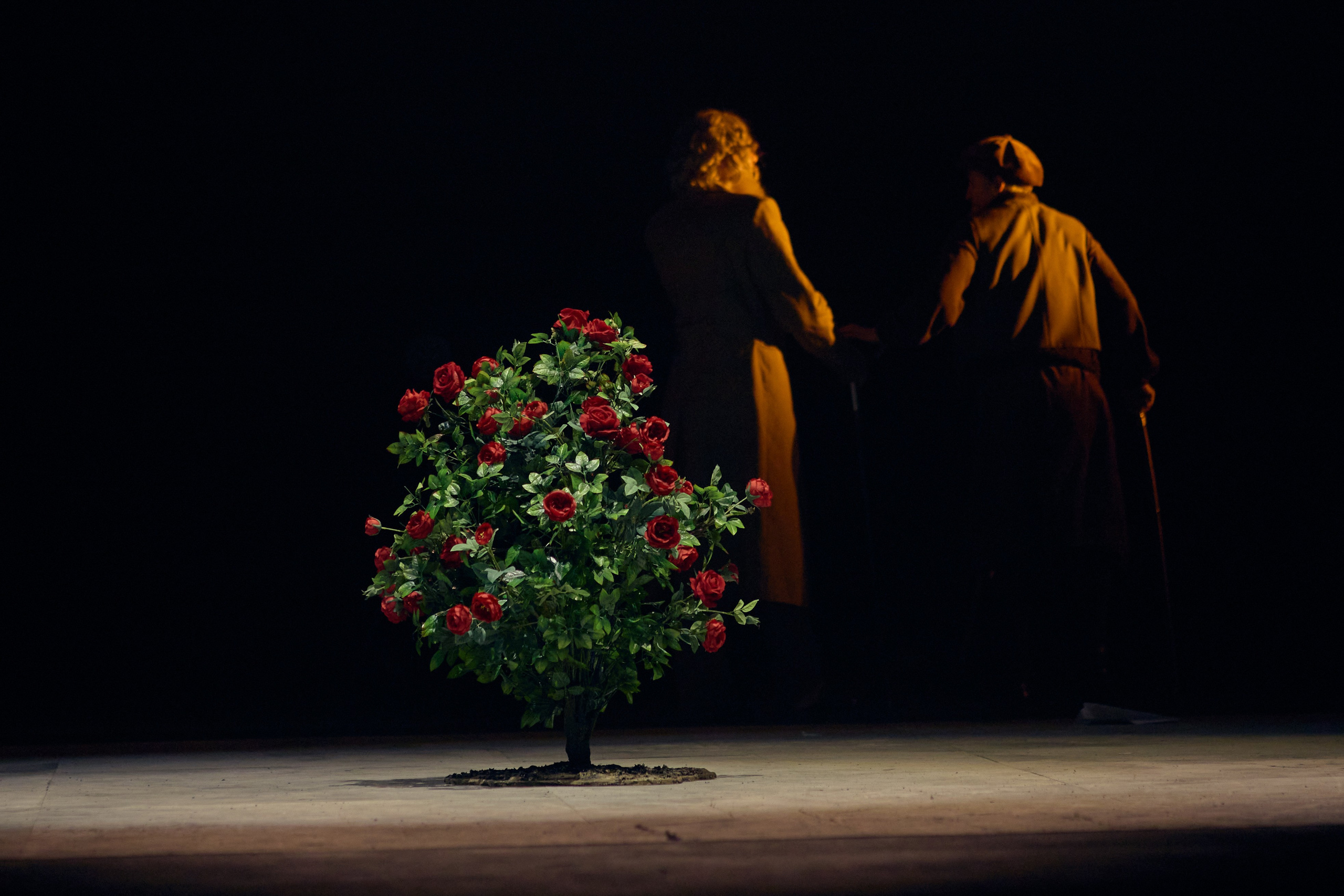 Шерлок Холмс. Фотограф Юлия Маринина