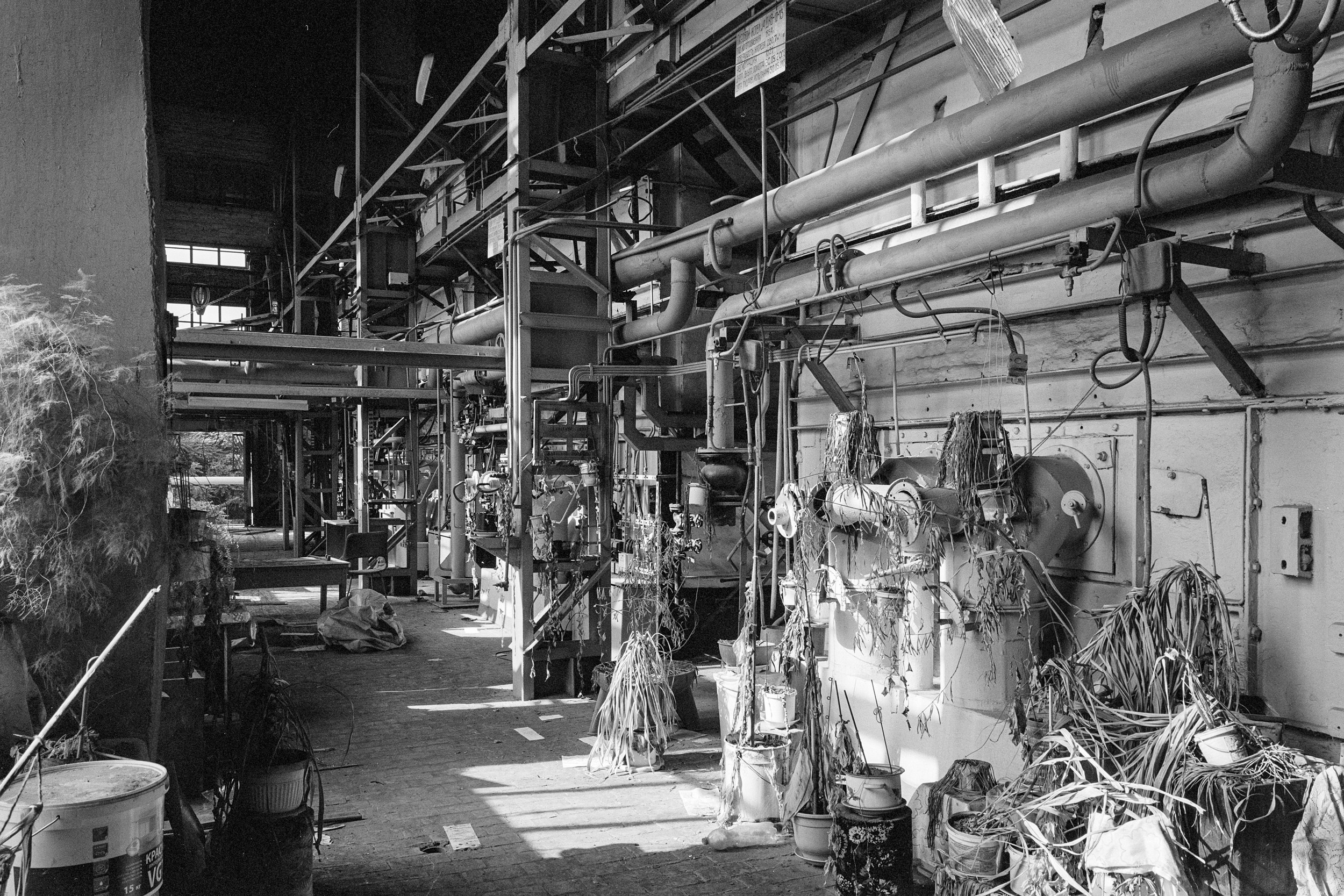 Электроцинк. Igor Volkov