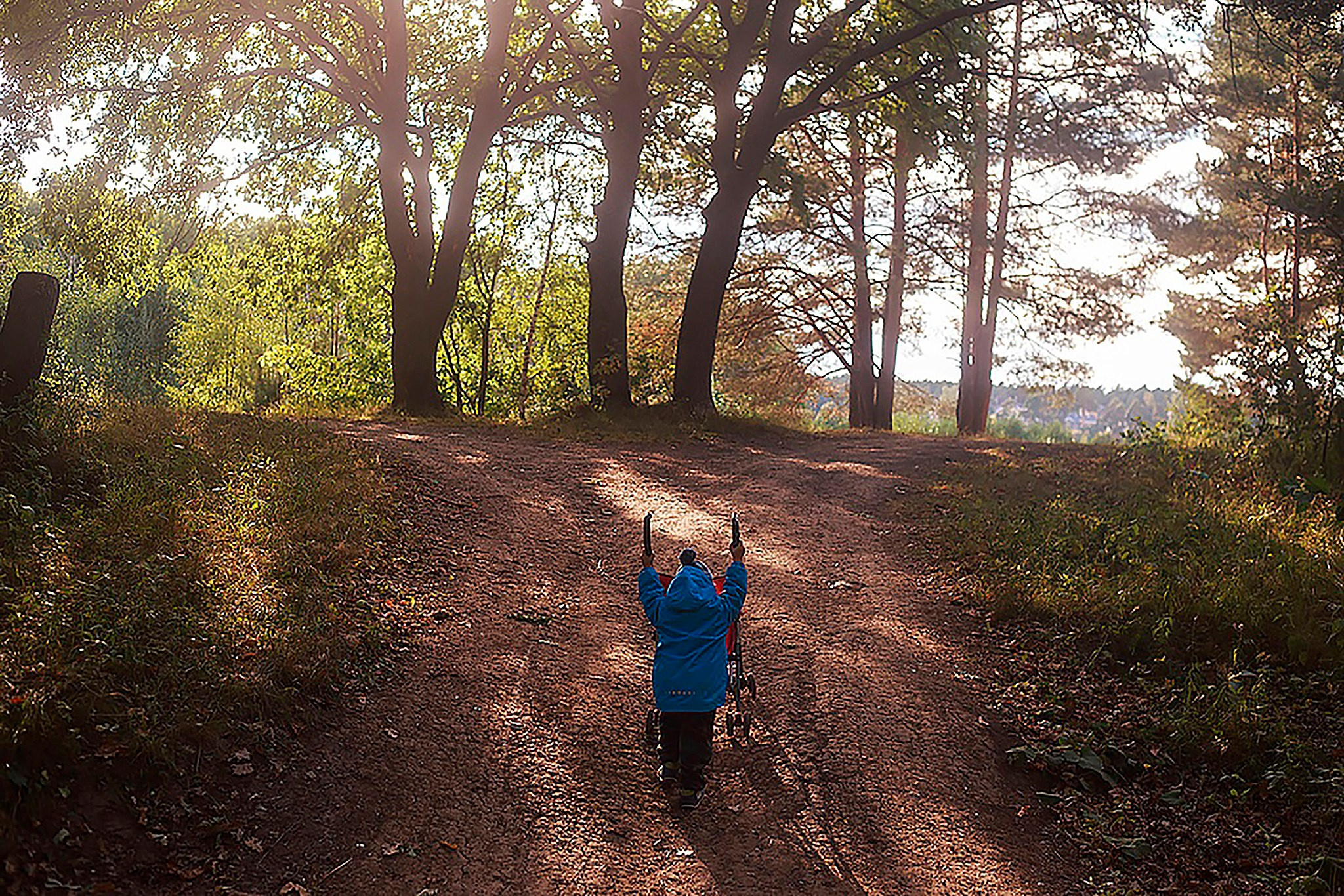 Дендрарий. Детский и семейный фотограф, фотограф мероприятий Нижний Новгород