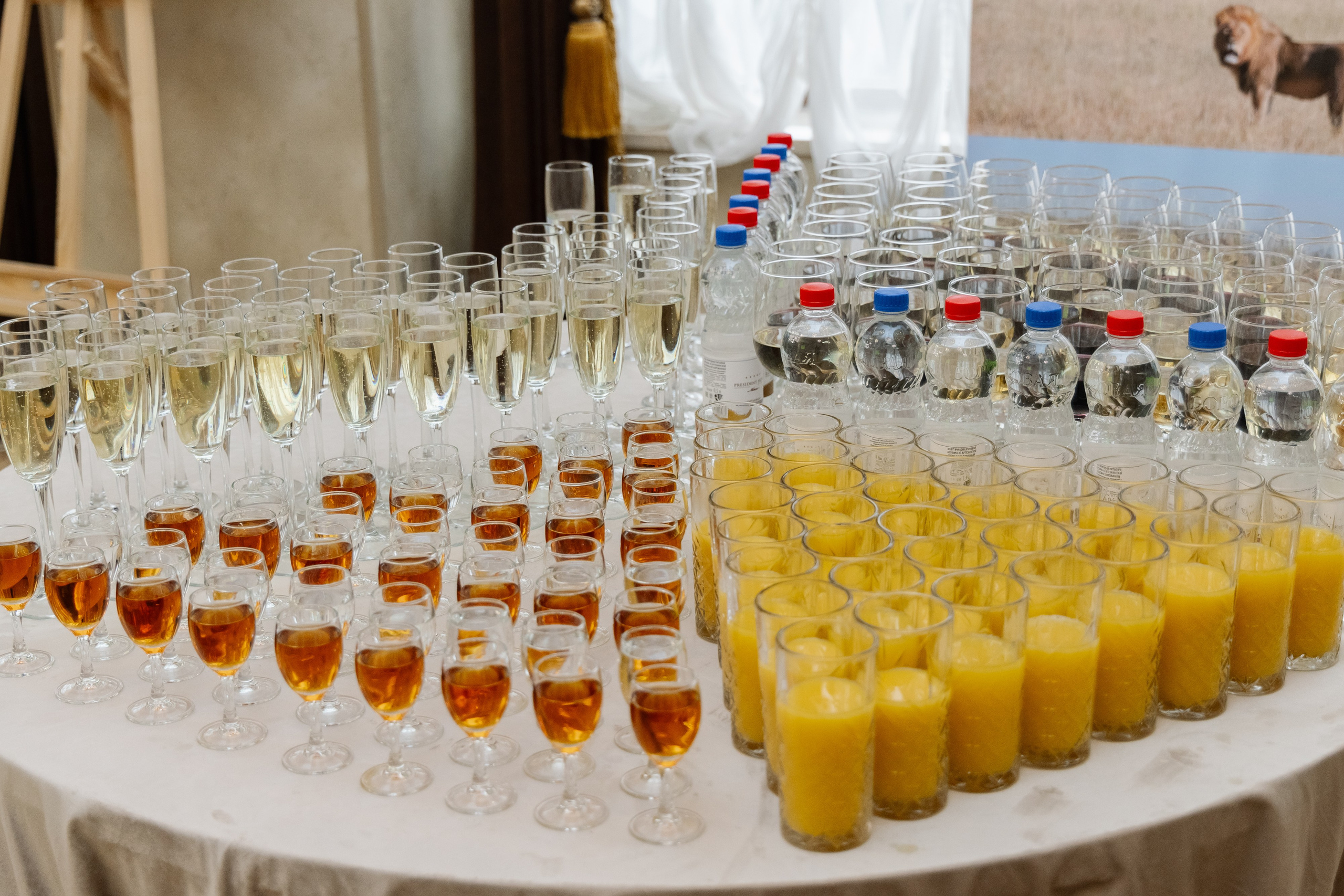 Фотосъемка делегации Посольства Зимбабве в Минске. Свадебный фотограф в Минске/Беларуси Сергей Спиридонов