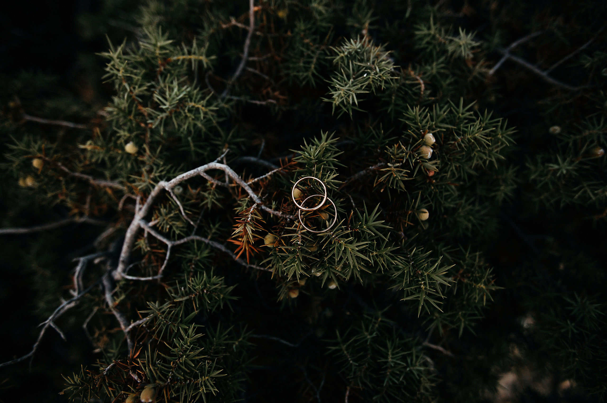 Nikolay&Natalie. Фотограф Анна Лейман. Севастополь