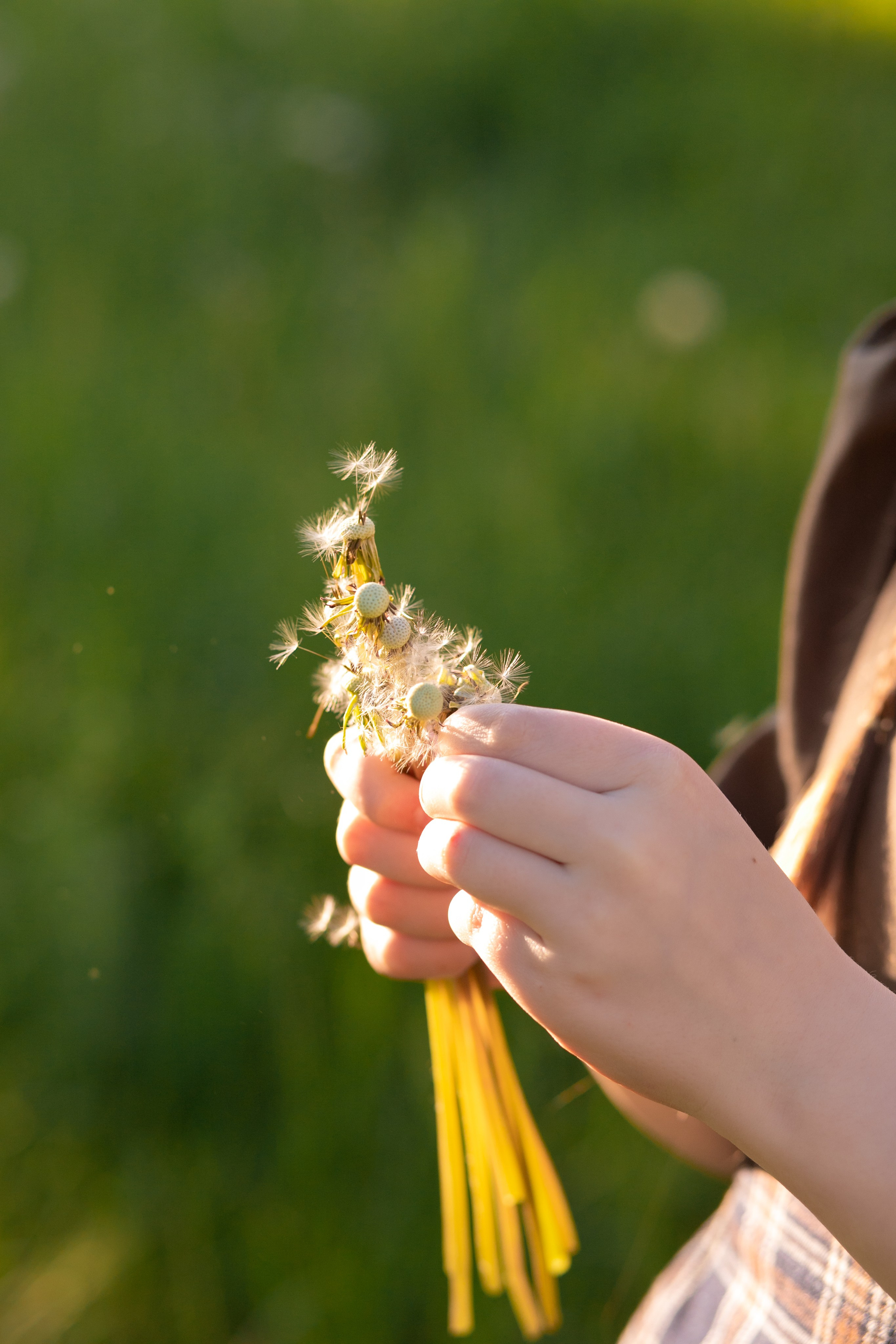 Девочка и цыплята. Фотограф Кравченко Юлия. Энгельс