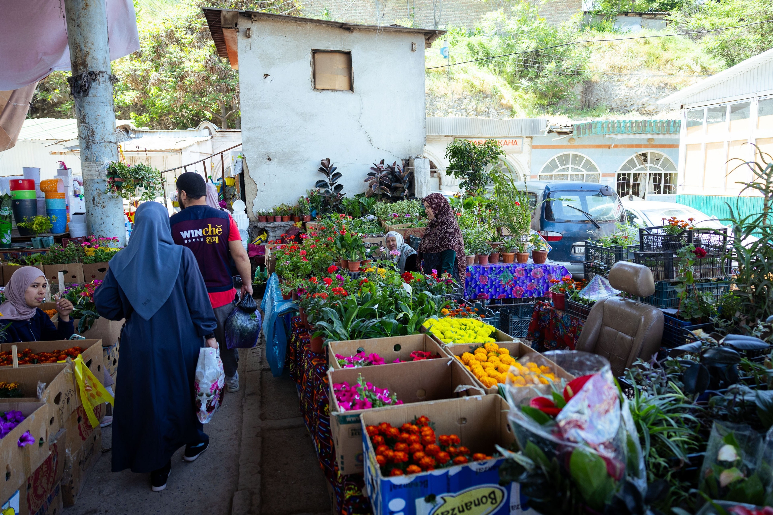 Кыргызстан (весна 2025). Фотограф Виноградов Константин