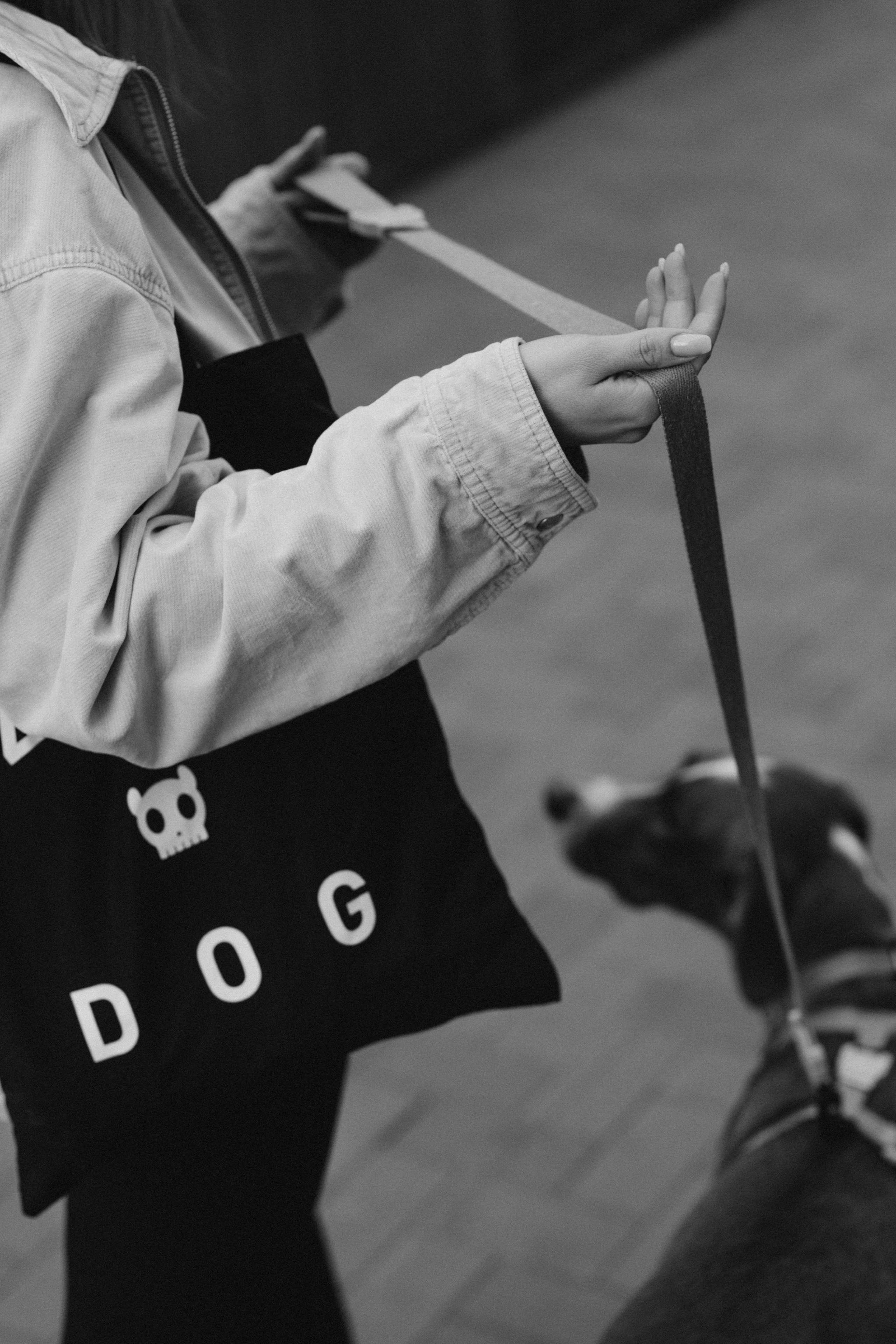 Съемка для бренда ZeeDog. Фотограф-анималист в Москве Кириллова Татьяна