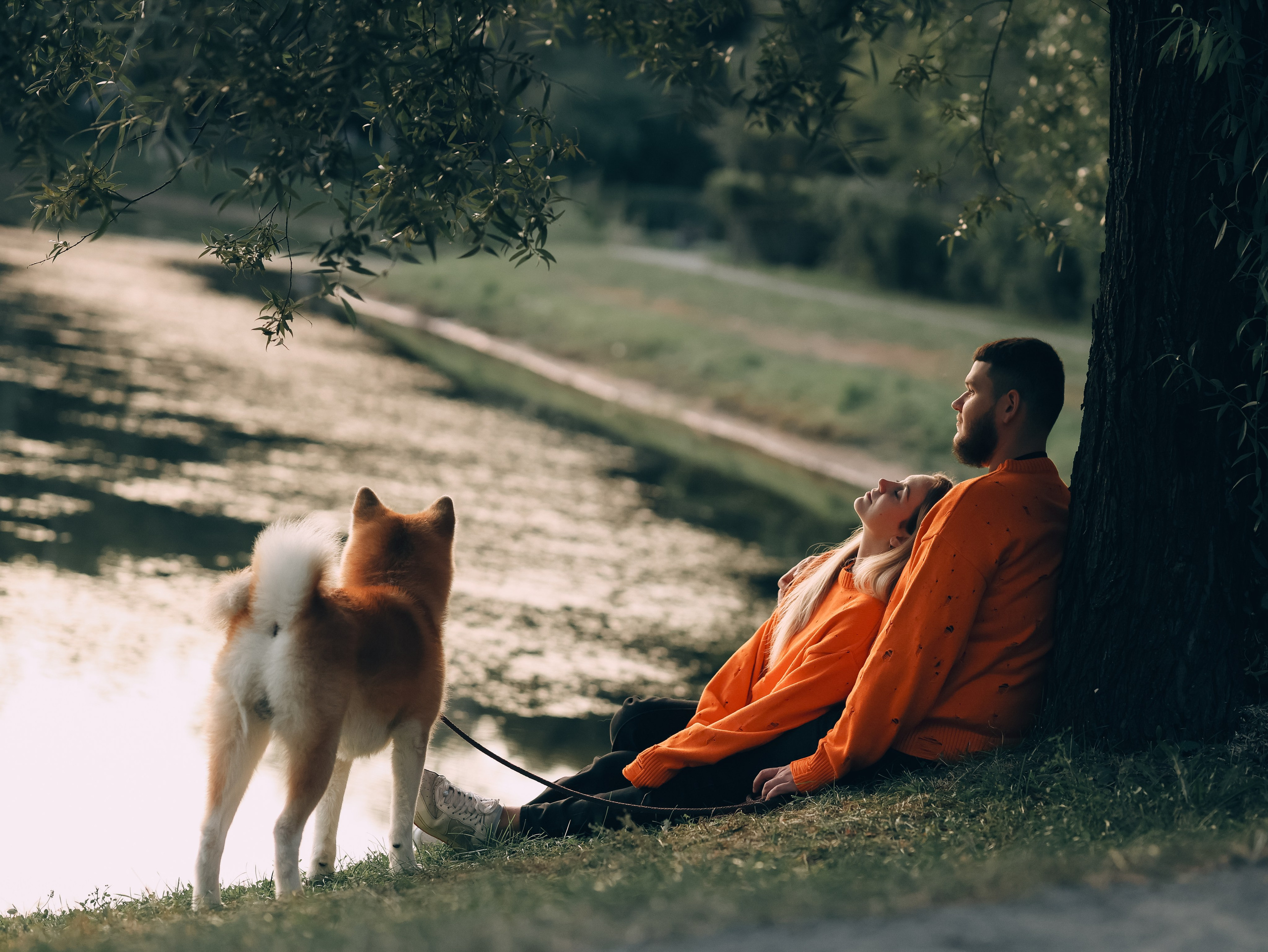 Гранд, Вика и Степан. Фотограф-анималист в Москве Кириллова Татьяна