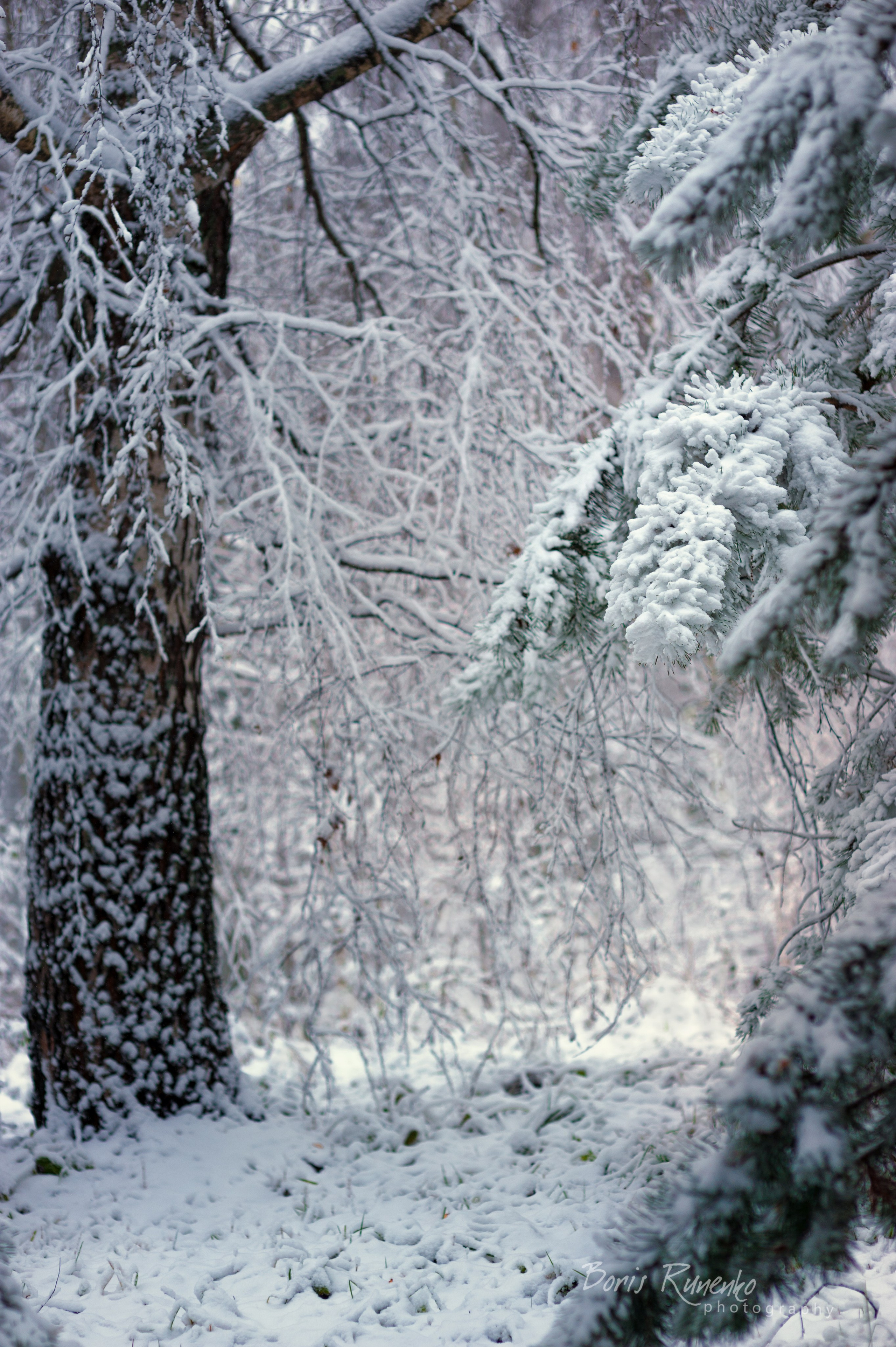 Пейзажный альбом 2. Борис Руненко. Пейзажный и travel-фотограф